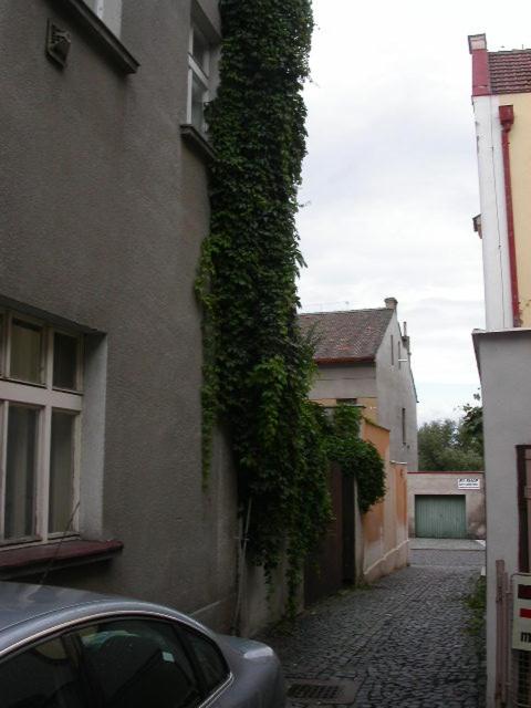Photo 29