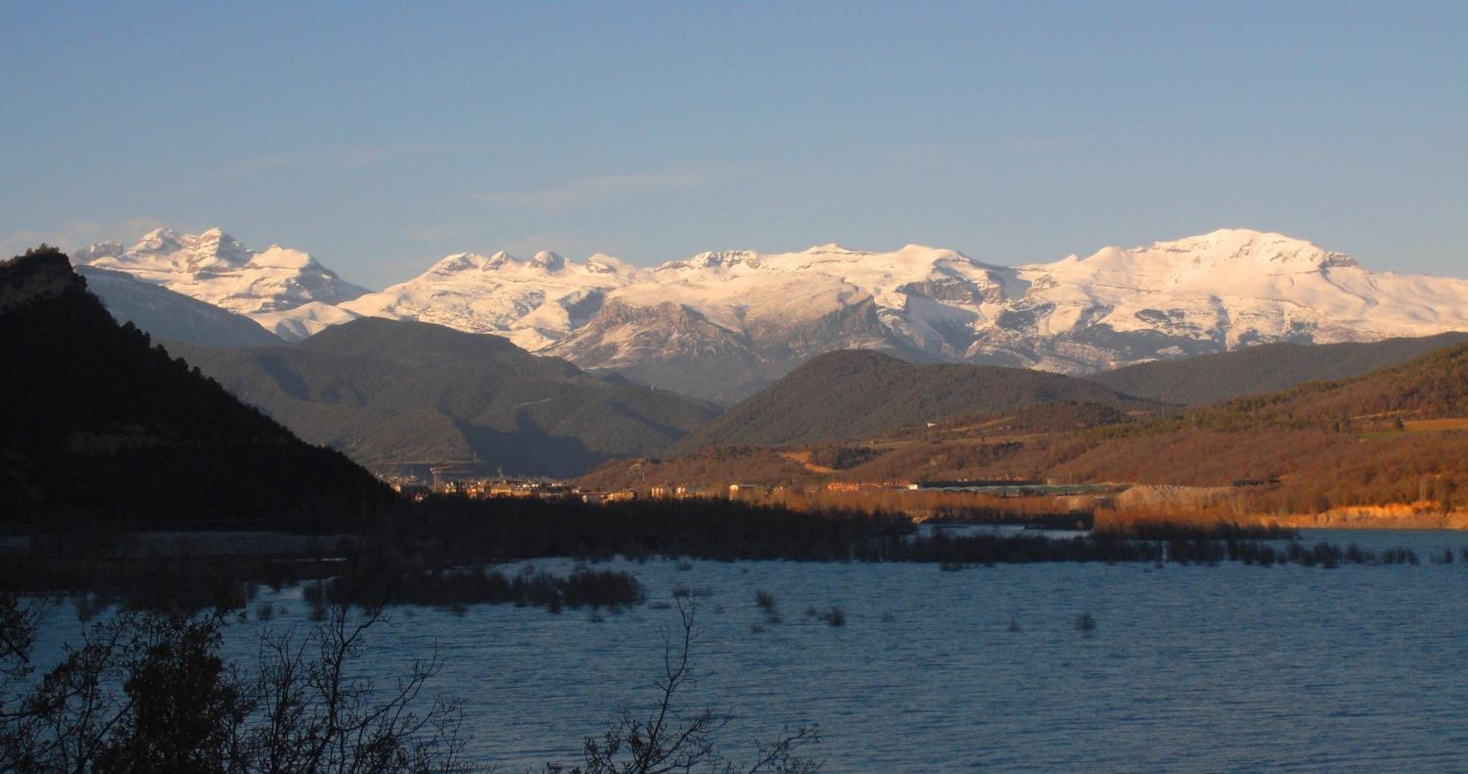 Photo 41