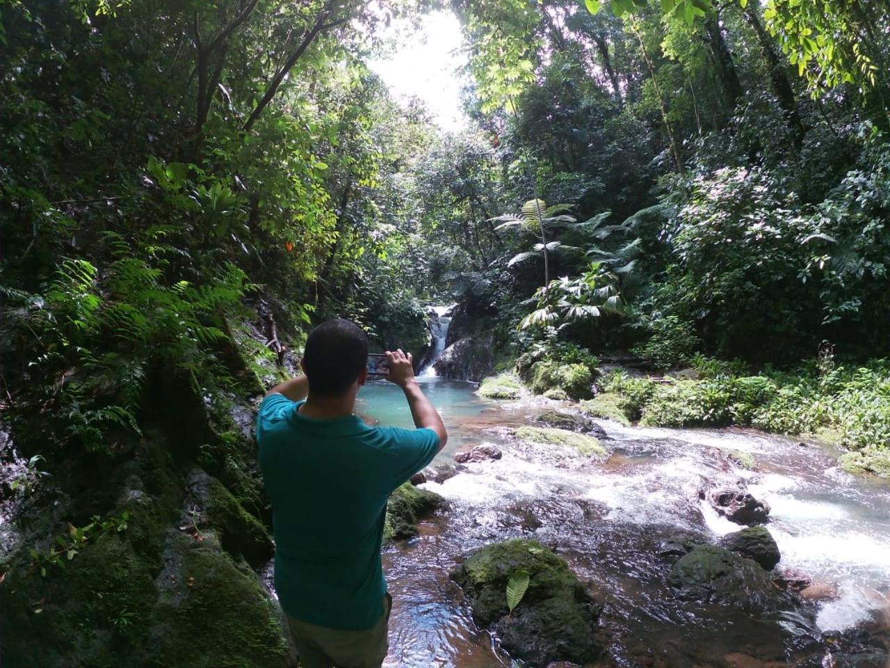Photo 8