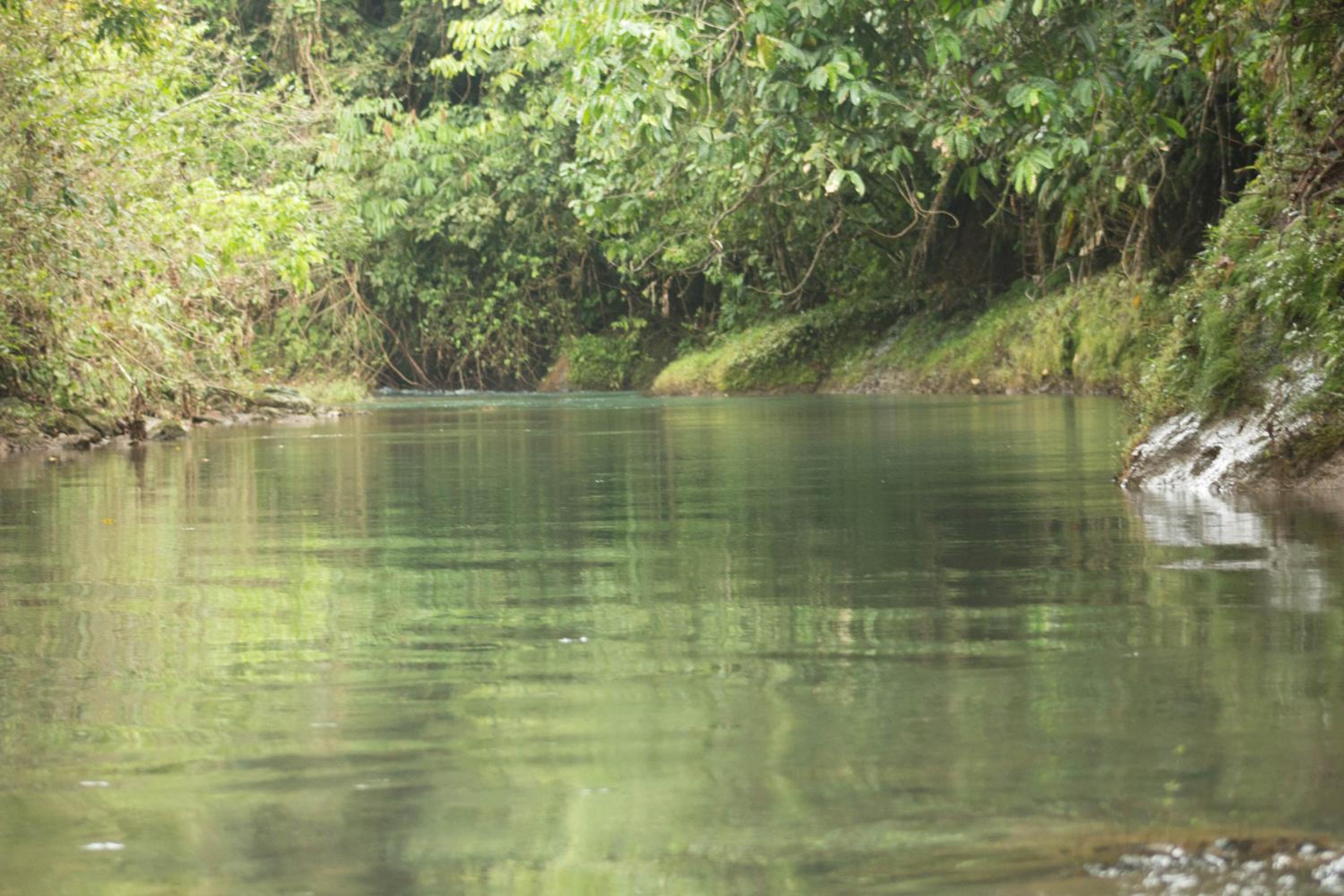 Rio Agujitas Eco Farm hostel and Tours view 5