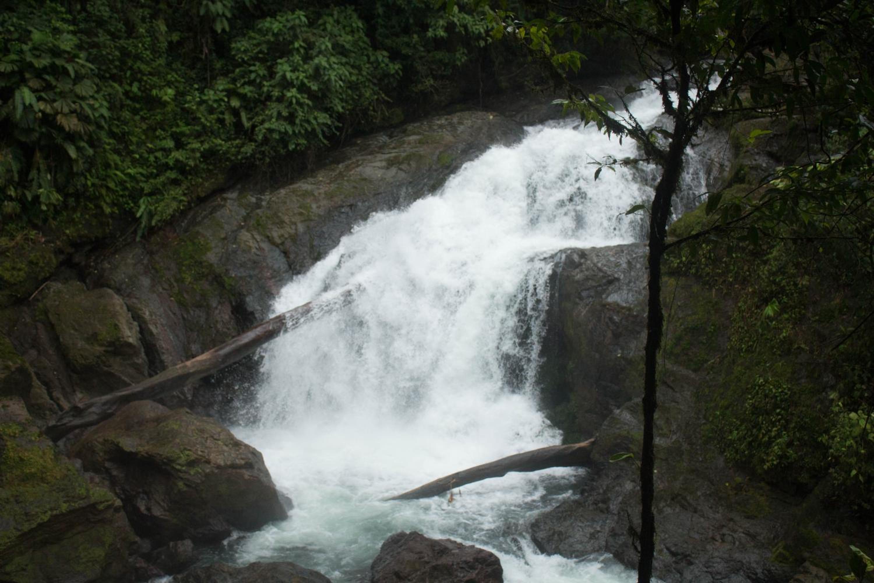 Rio Agujitas Eco Farm hostel and Tours view 2