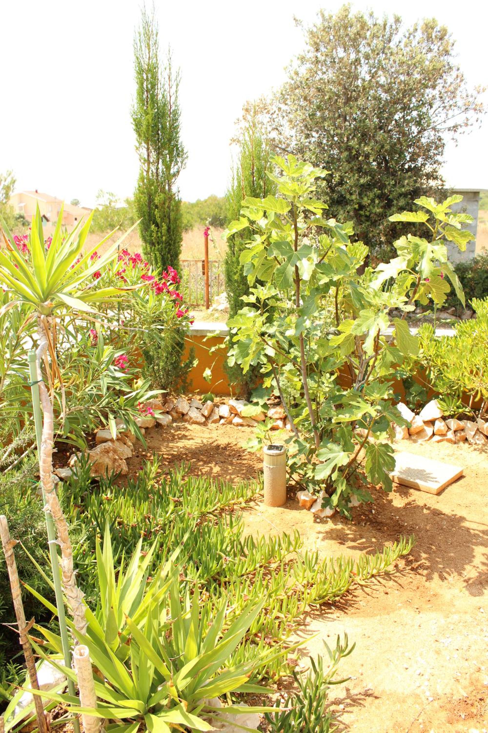 Casa Brigitte view 2