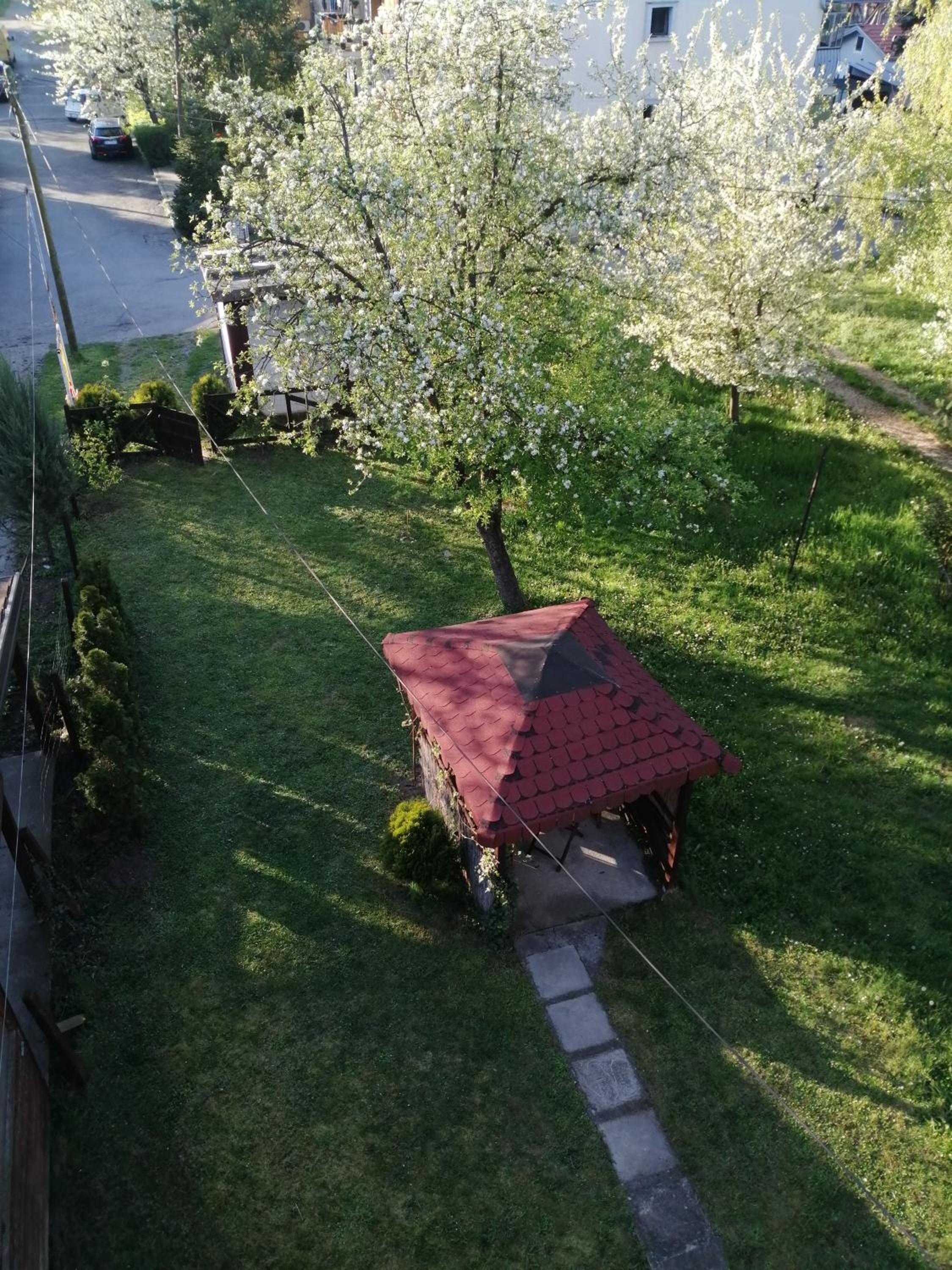 Photo 17