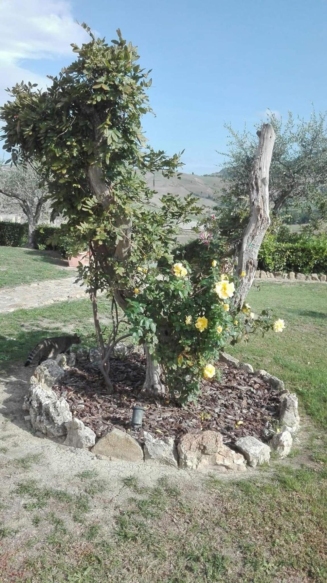 Agriturismo Casa al Povero view 4