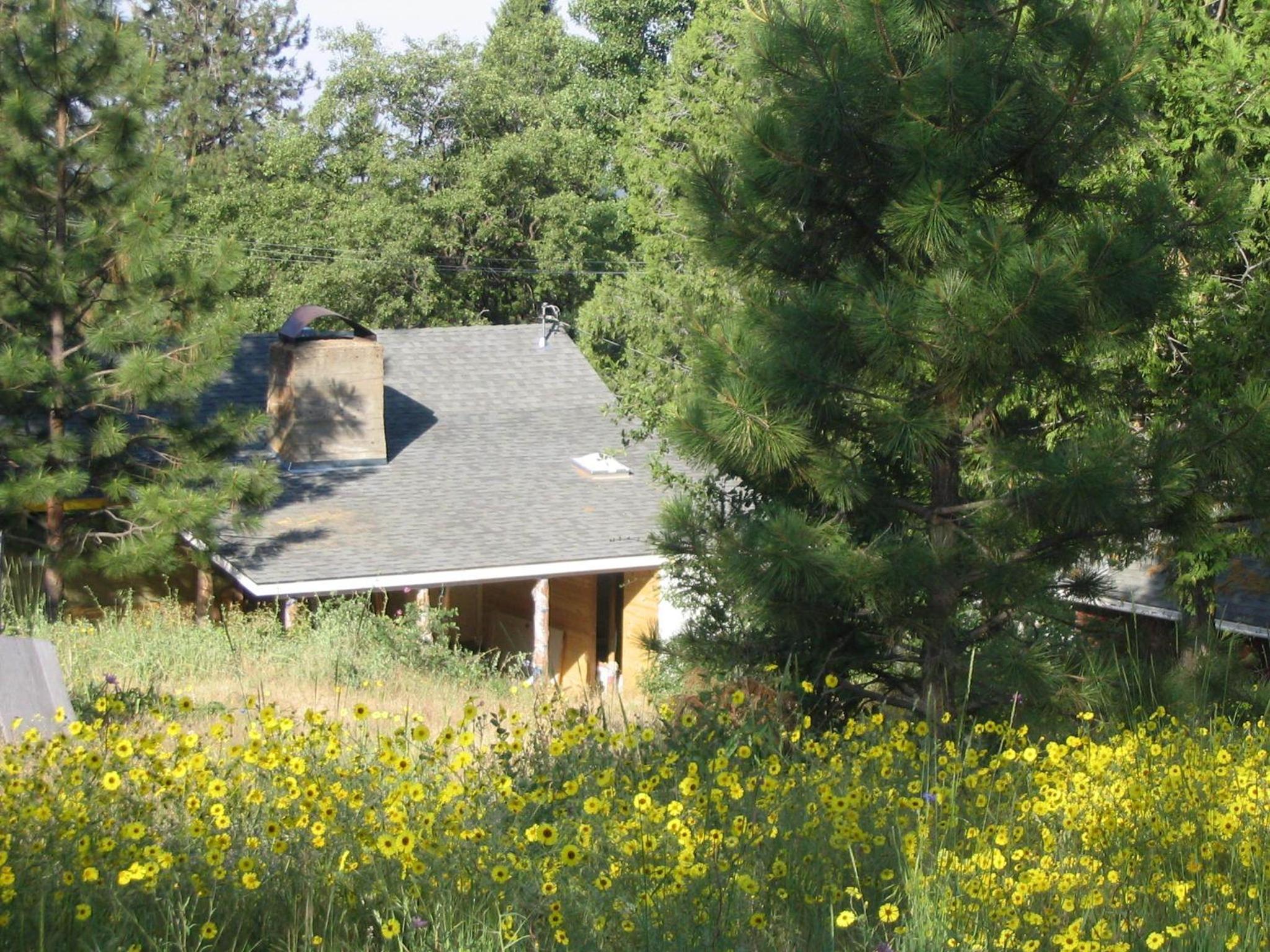 Photo 41