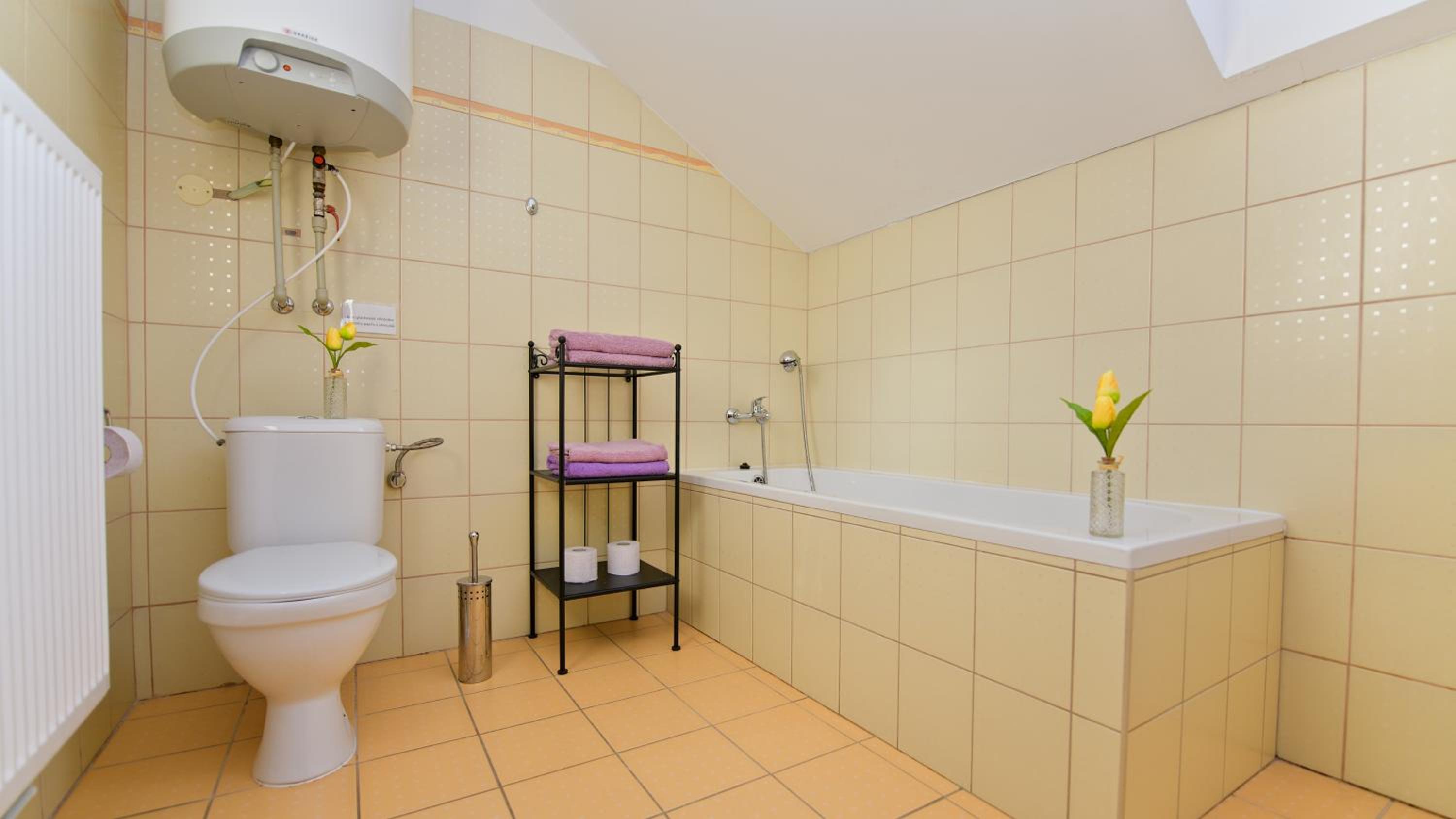 Wellness Penzion Eva