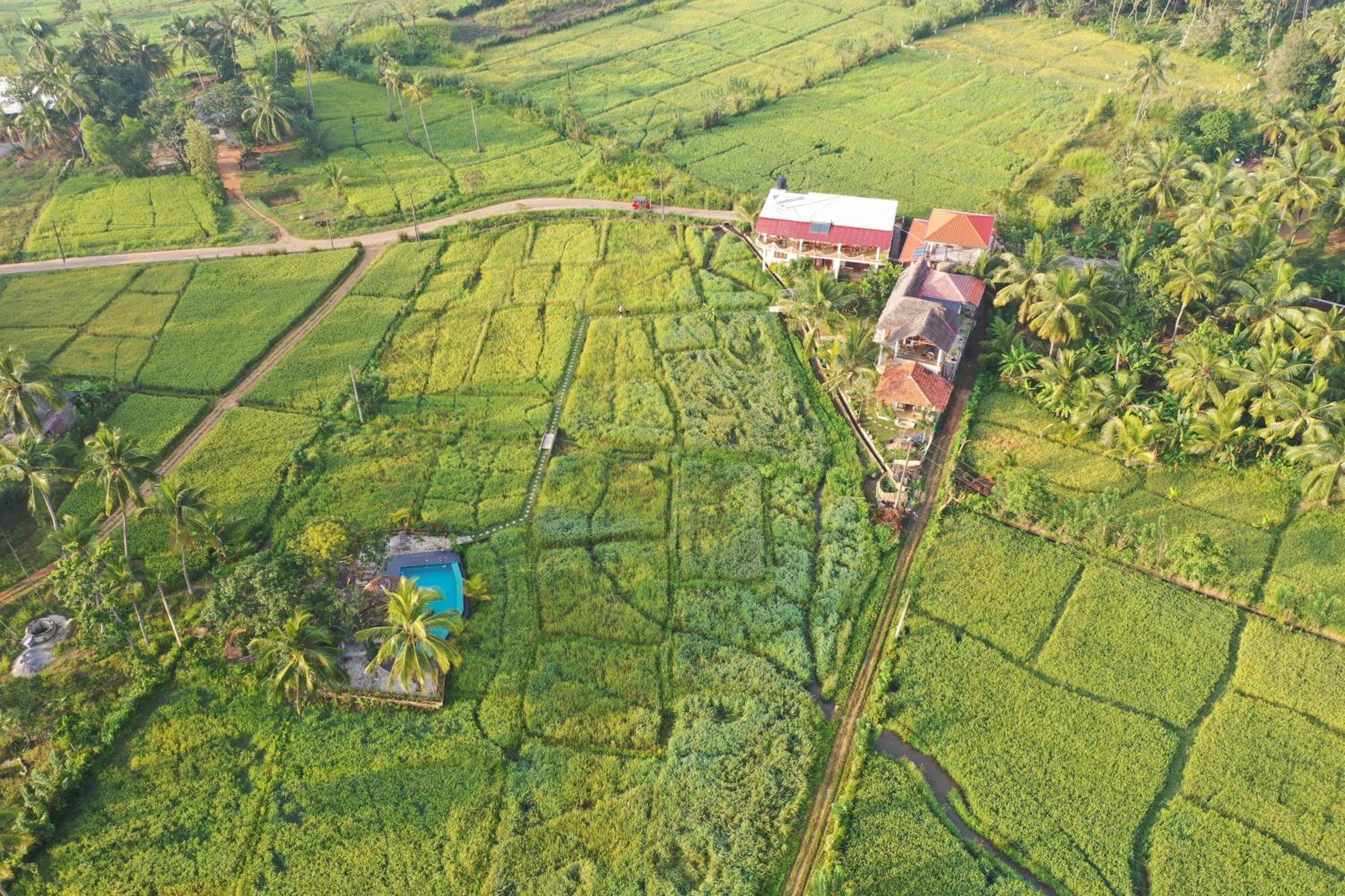 Nelu Villa Sigiriya view 4