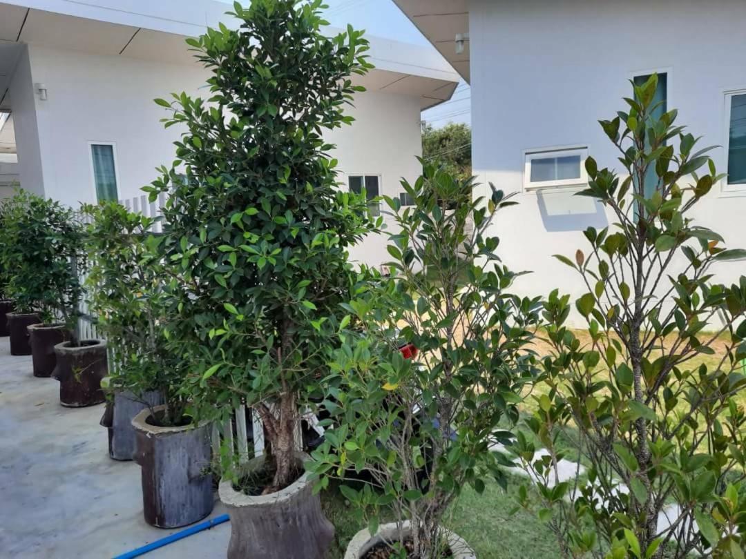 Pon Resort view 4