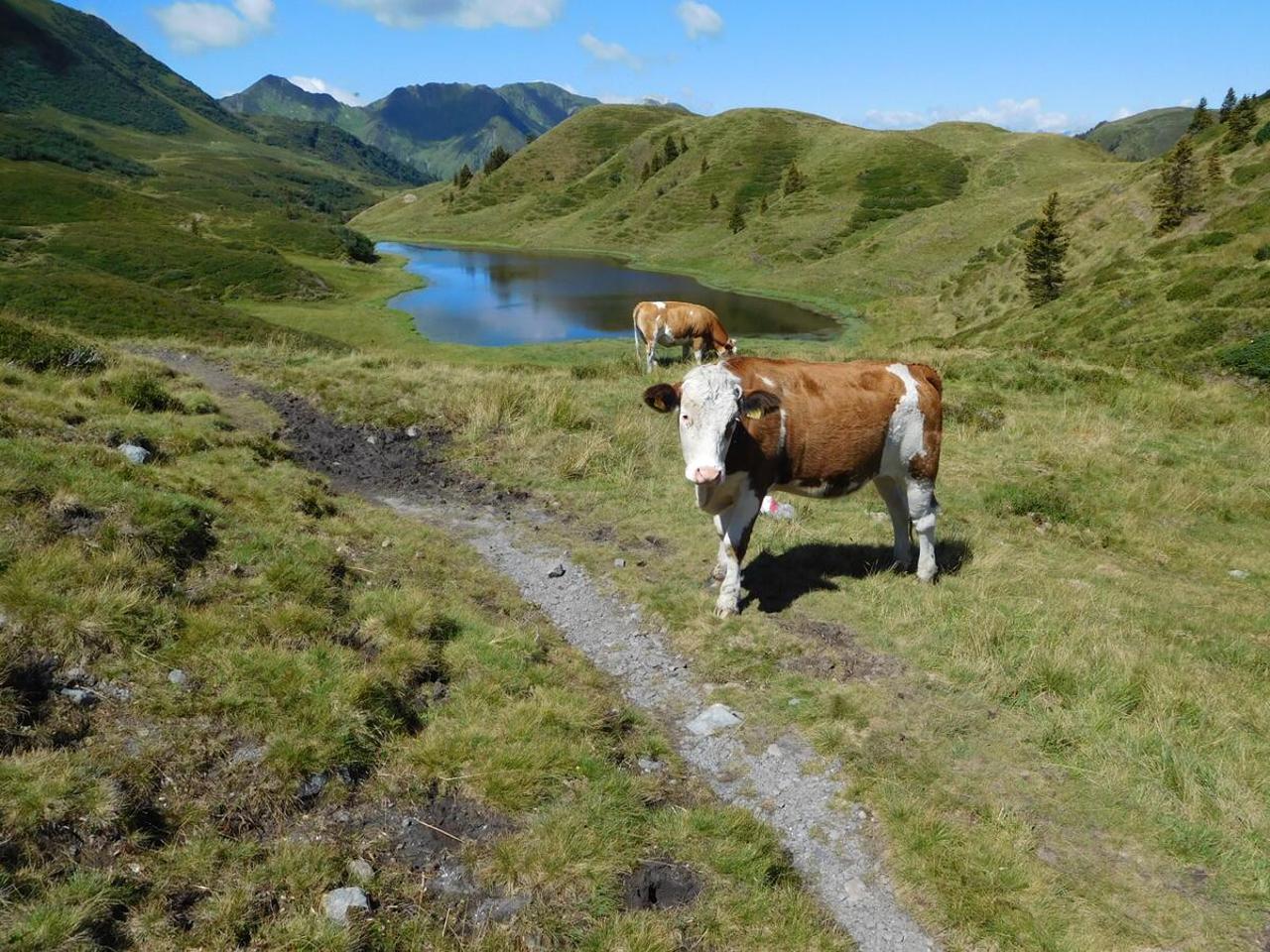 Straniger Alm