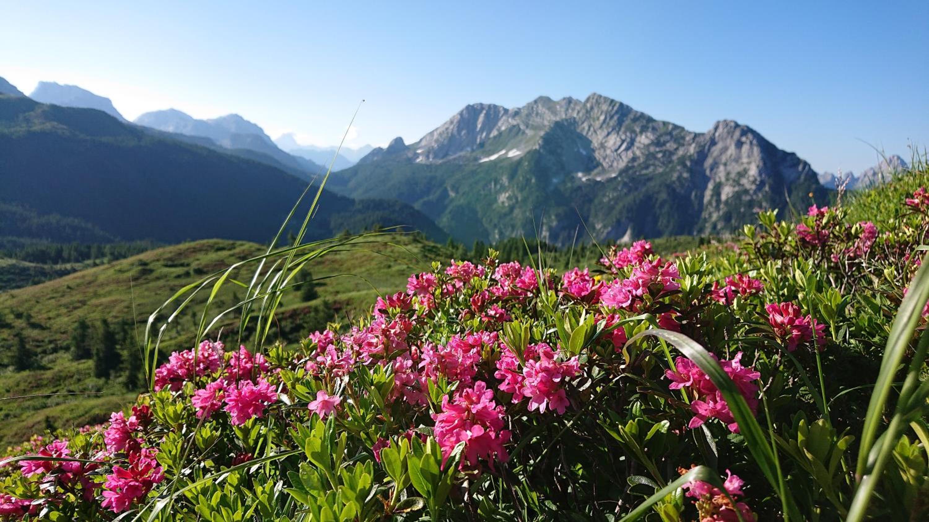 Straniger Alm