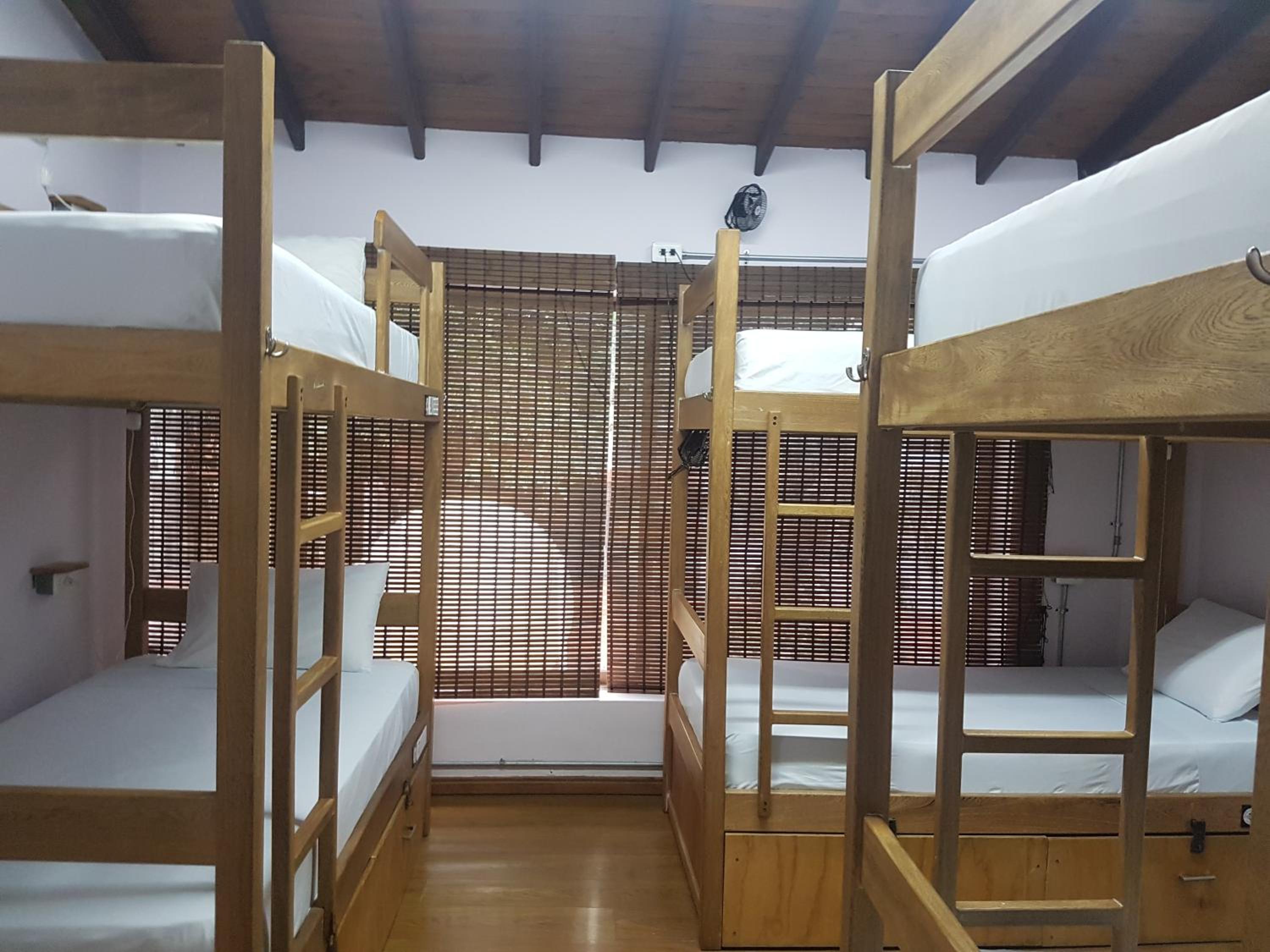 Purple Monkey Hostel