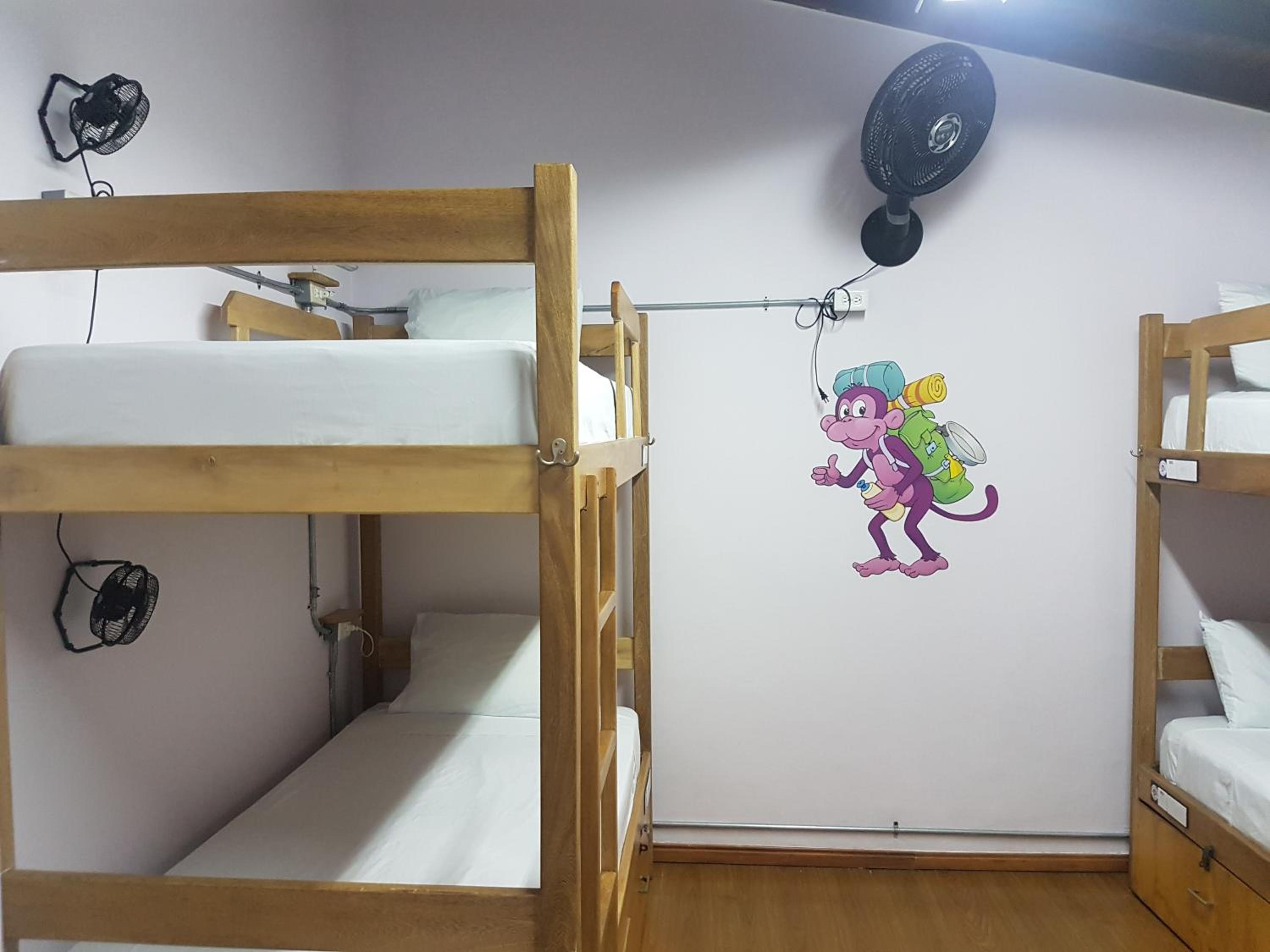 Purple Monkey Hostel