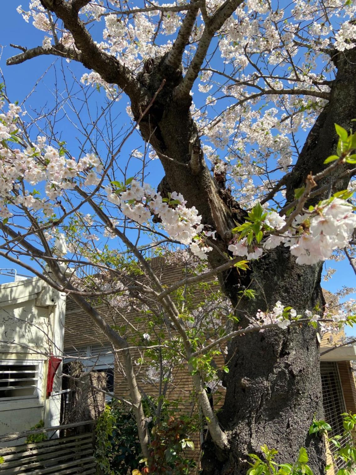 Kamakurayama Holiday Flat