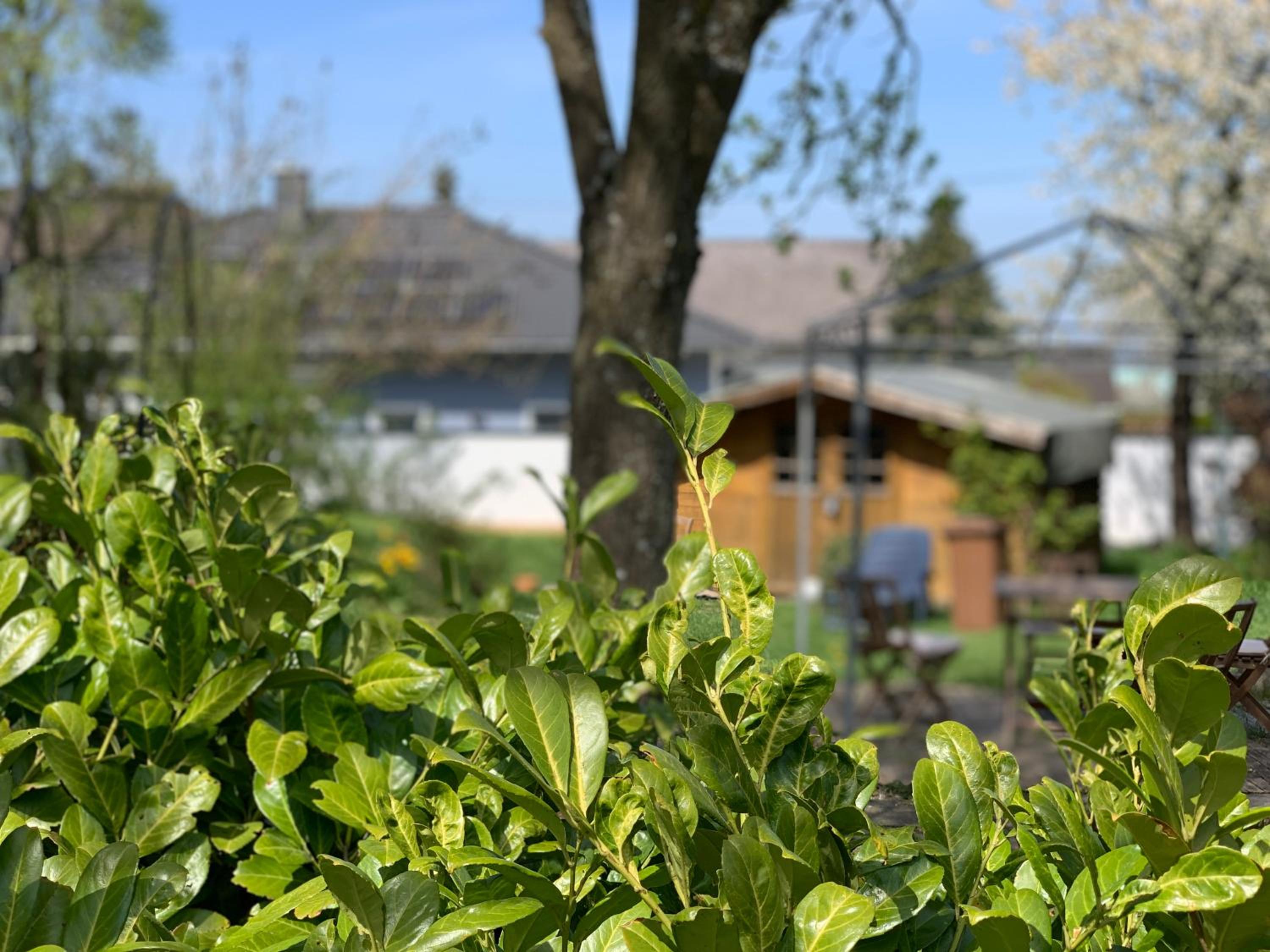 Photo 18