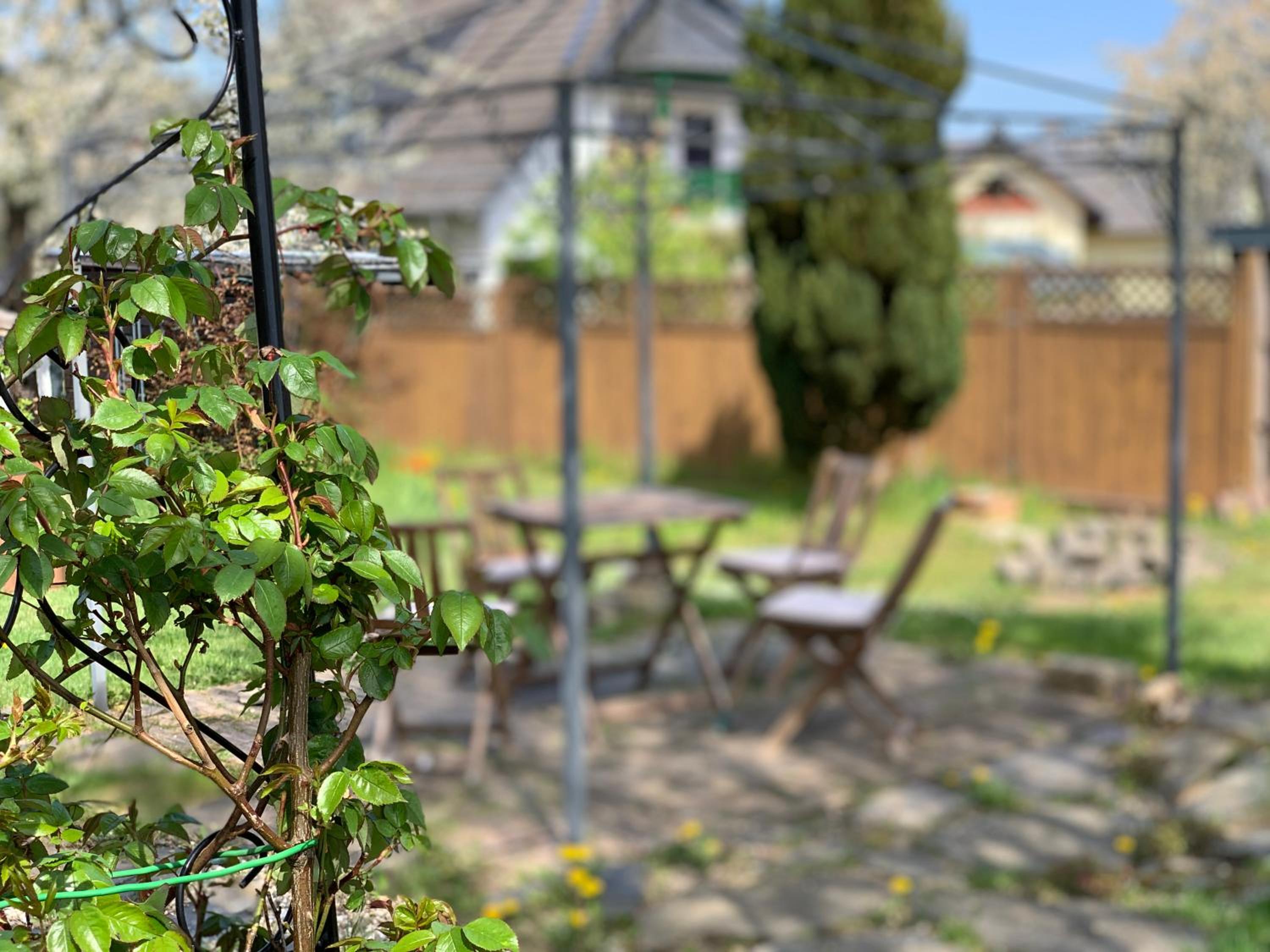 Photo 19
