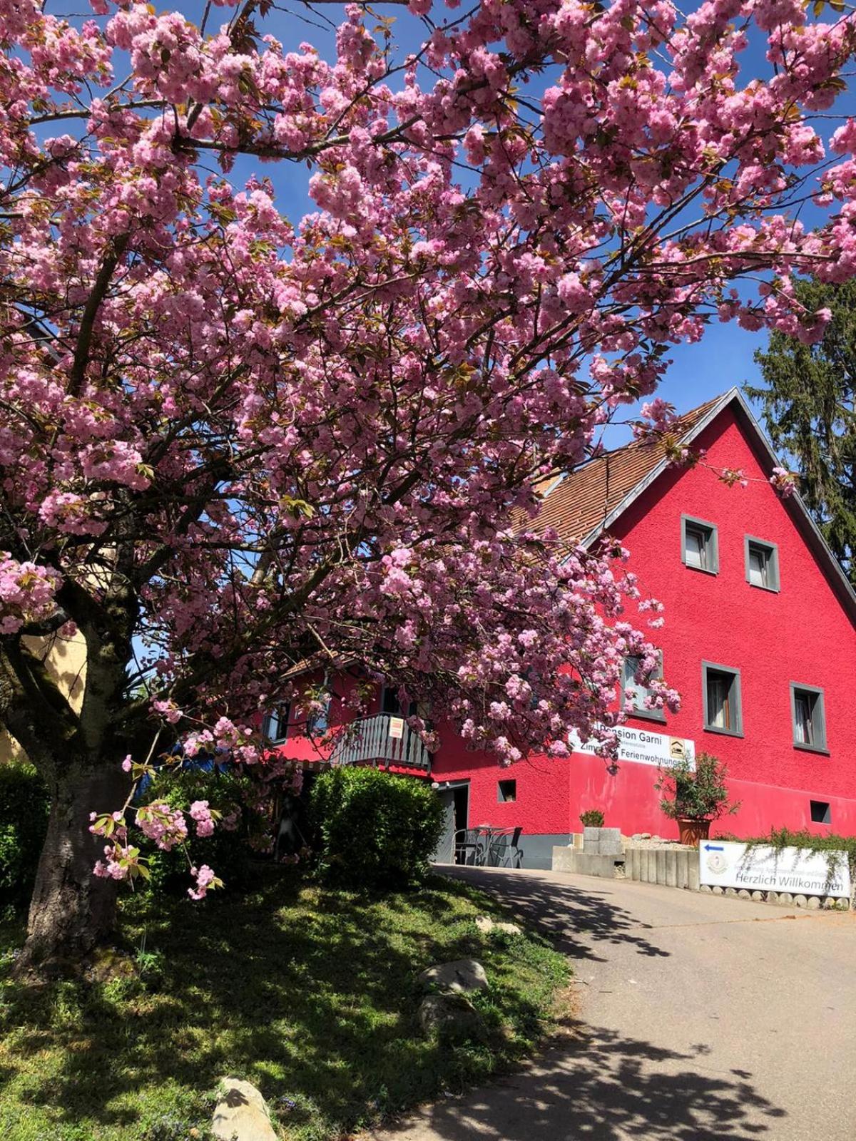 Pension Grübel