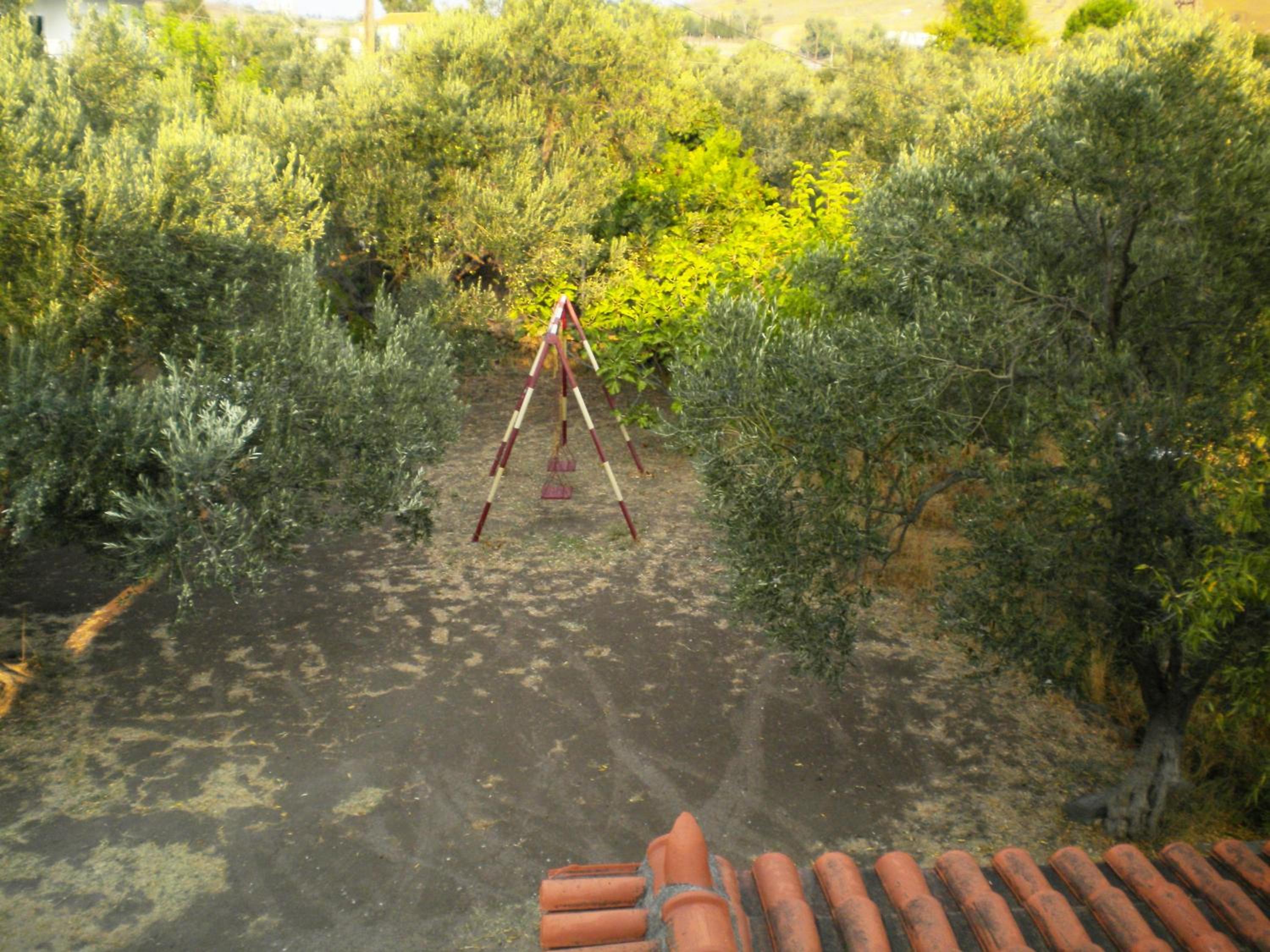 Photo 50