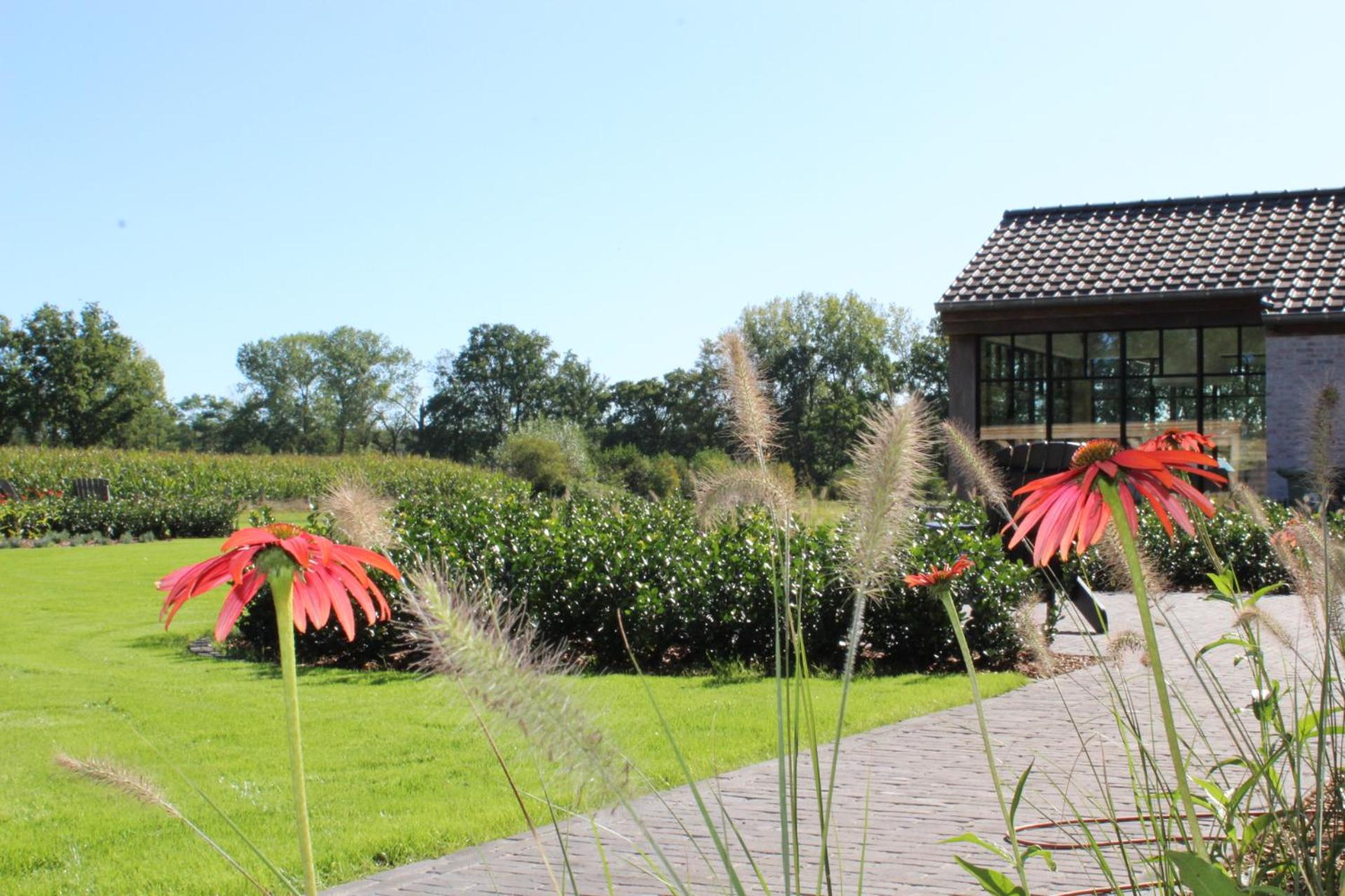 Elvier B&B