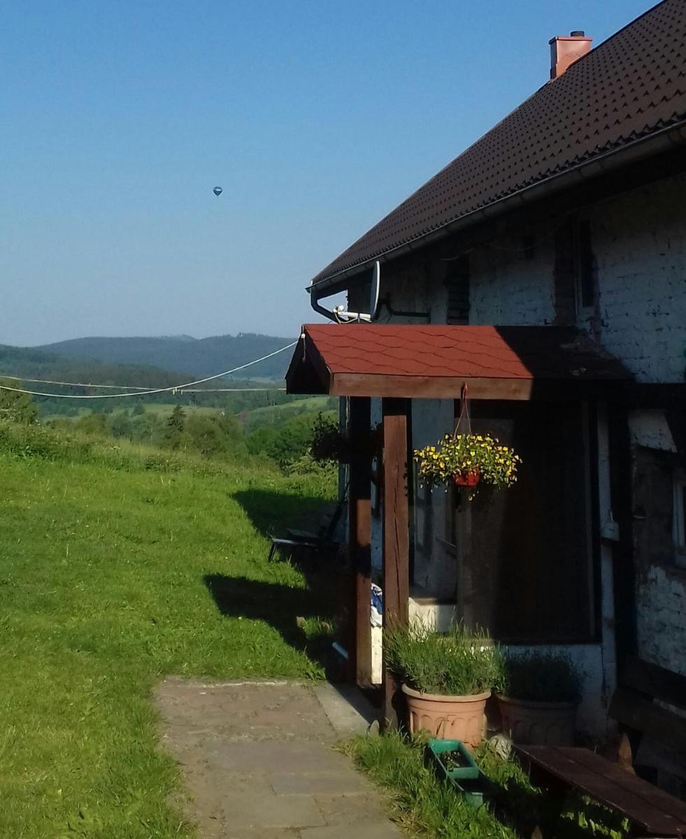 Dziki domek view 2