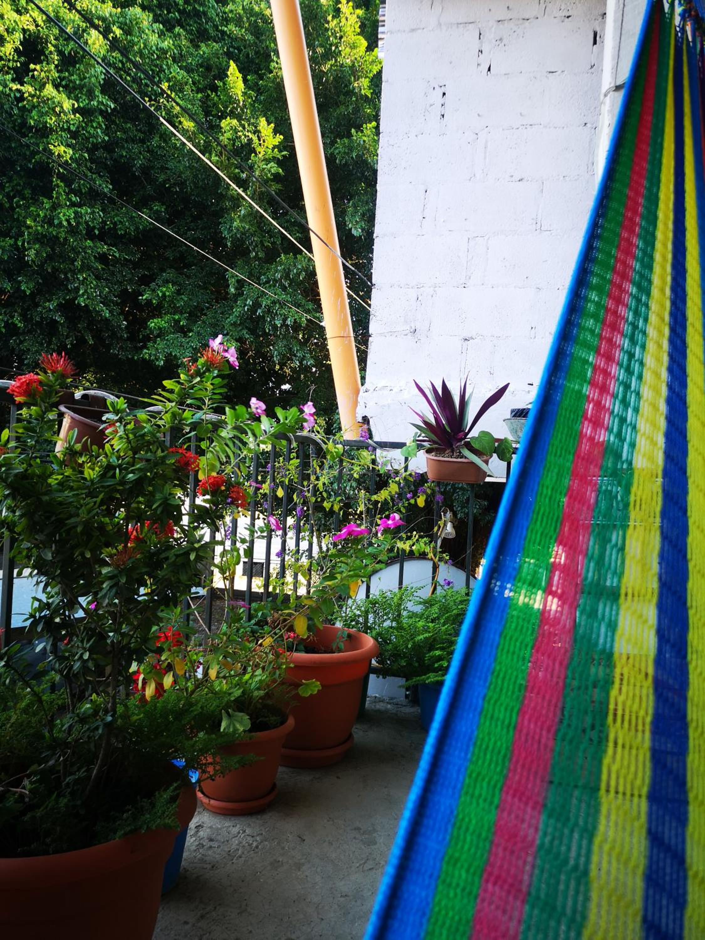 La Terraza Hostel view 3
