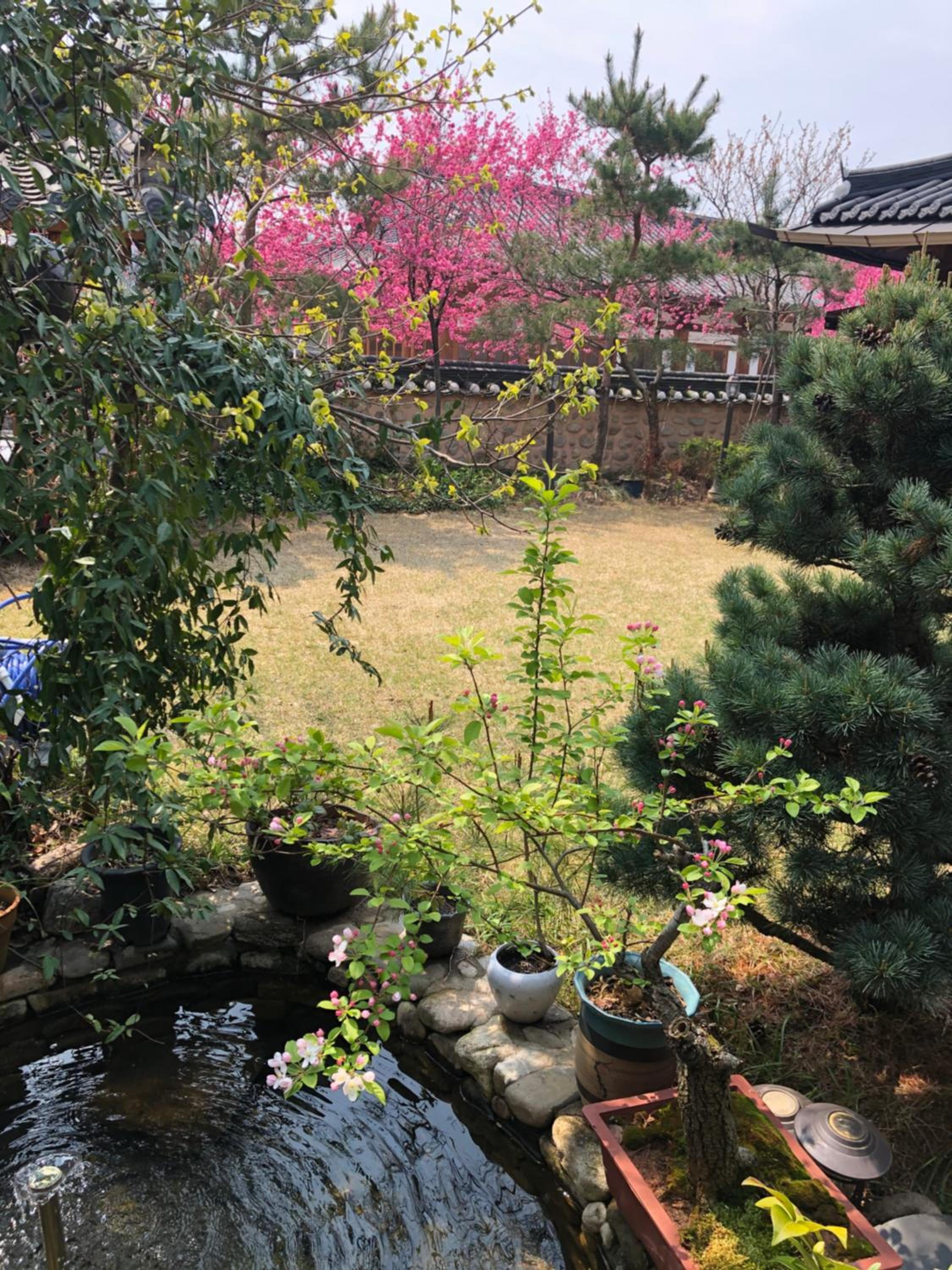 Buyongheon