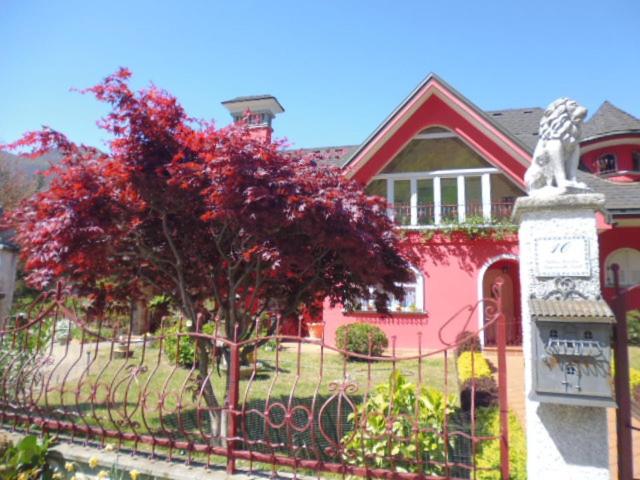 Photo 26