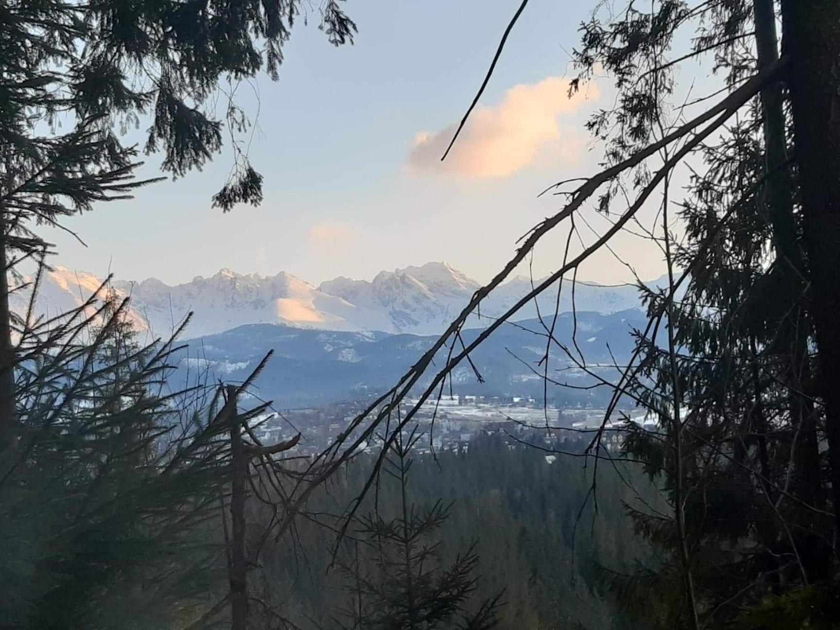 Cyrwony Domek view 3