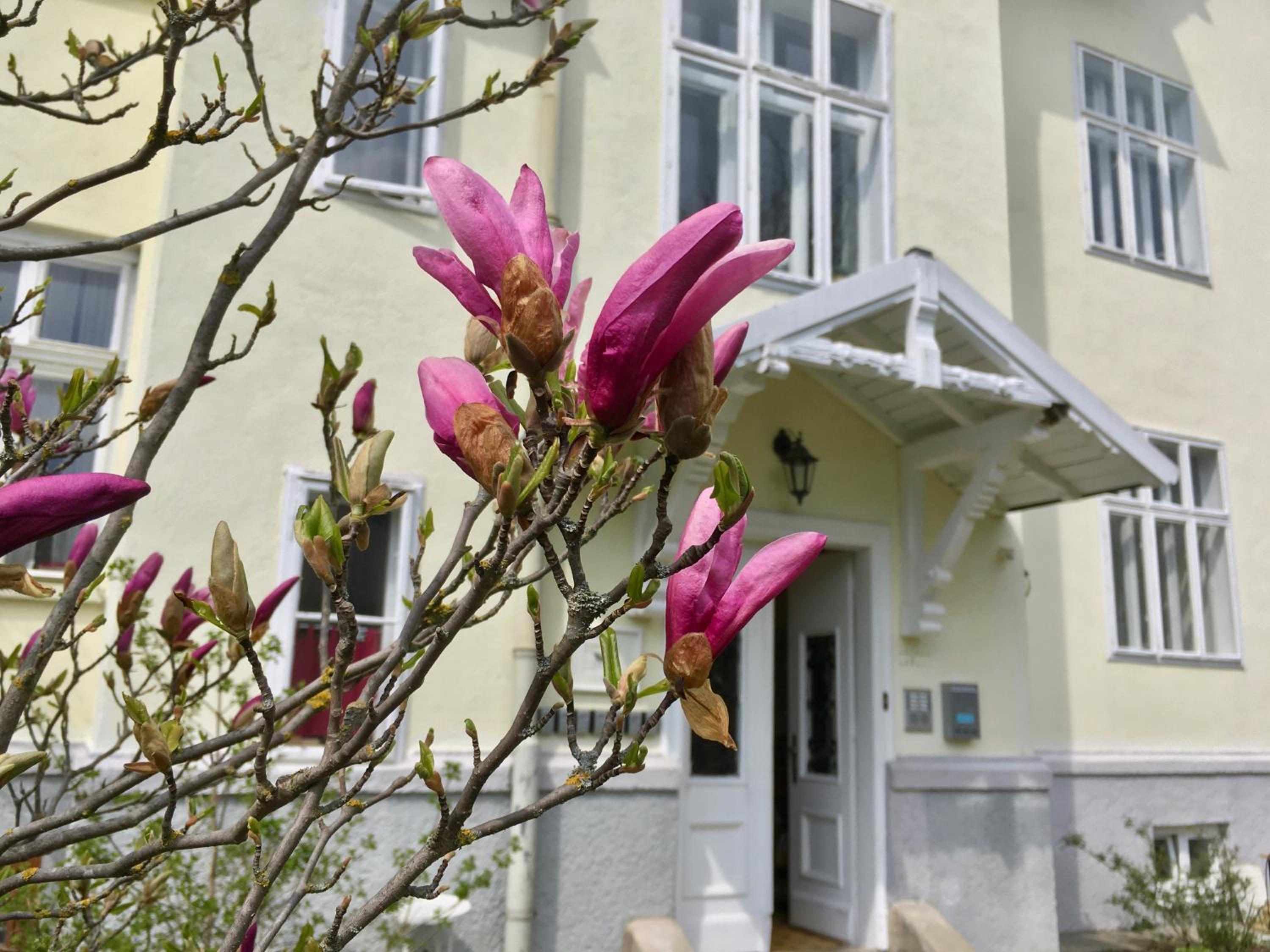 Landhaus Blauer Spatz Reichenau an der Rax