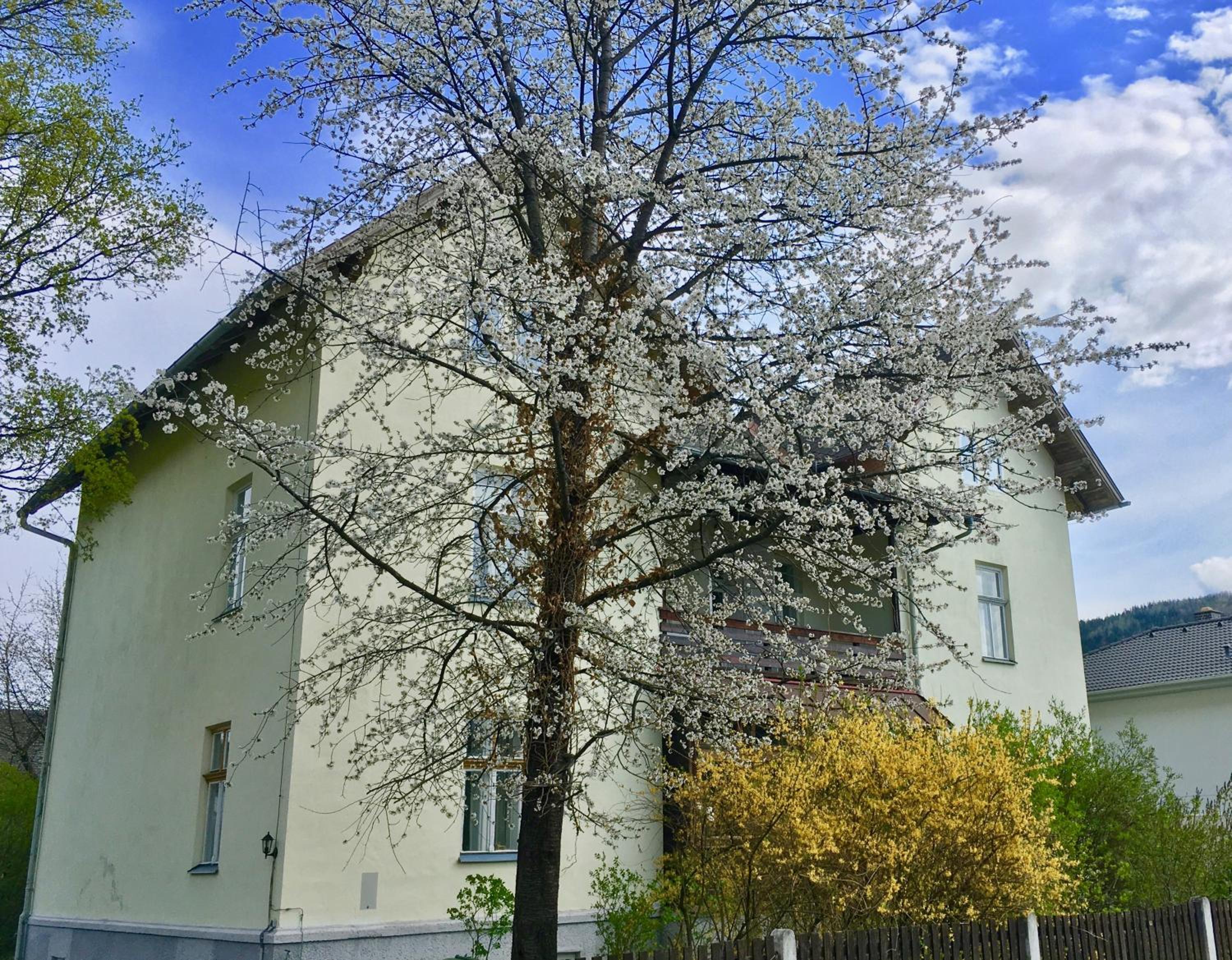 Landhaus Blauer Spatz Reichenau an der Rax