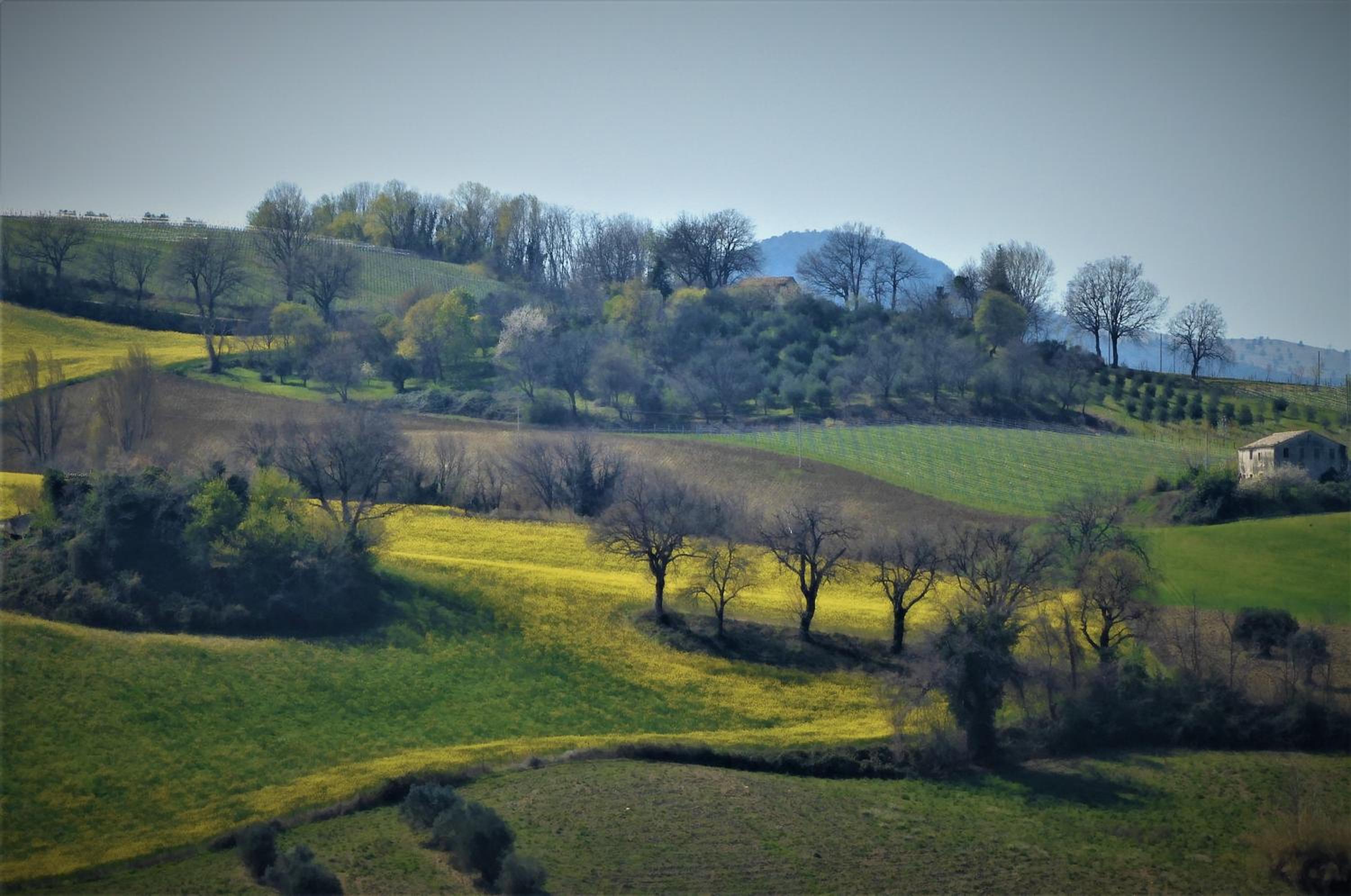 Quelli del Picchio