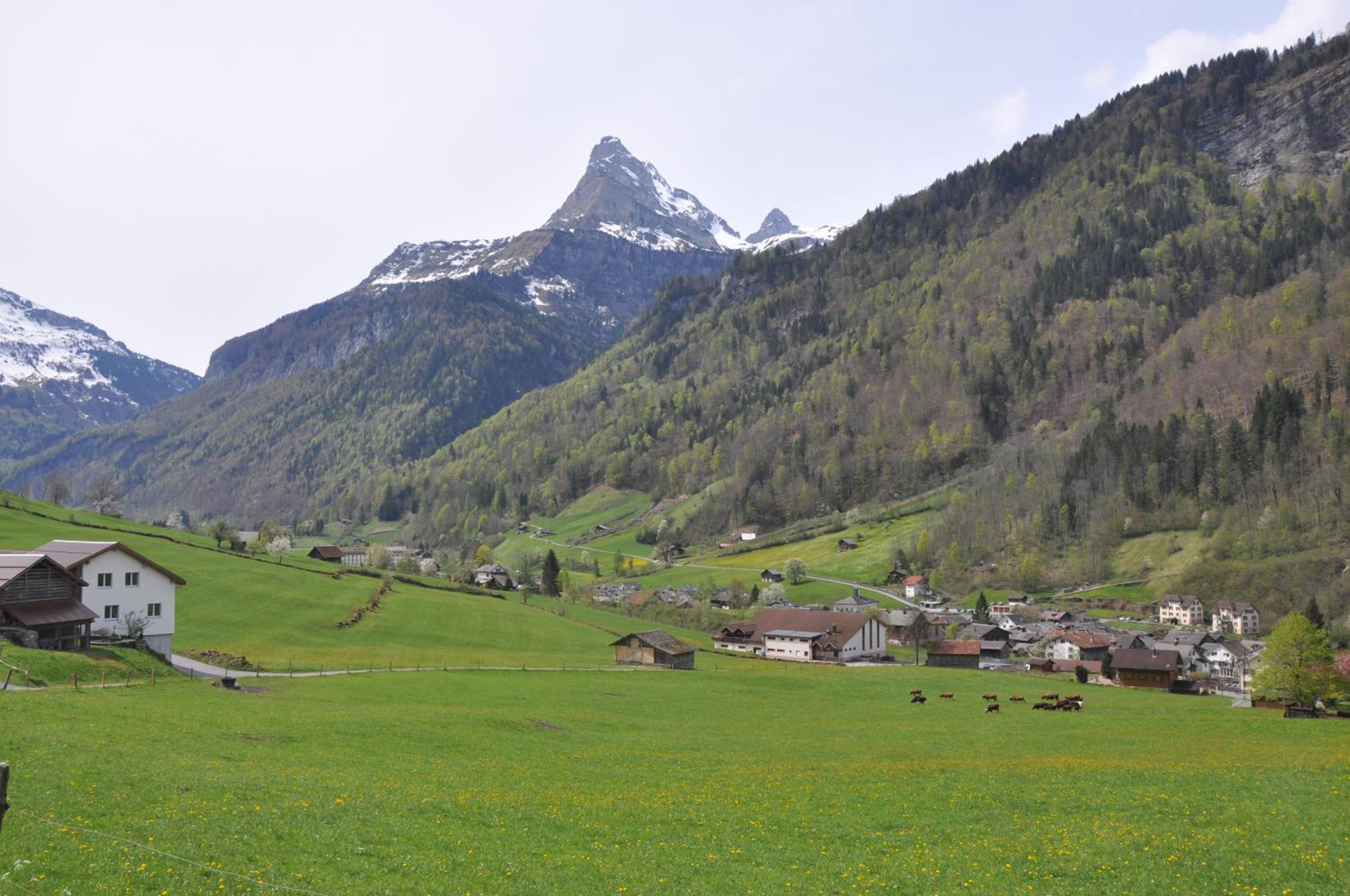 Photo 48