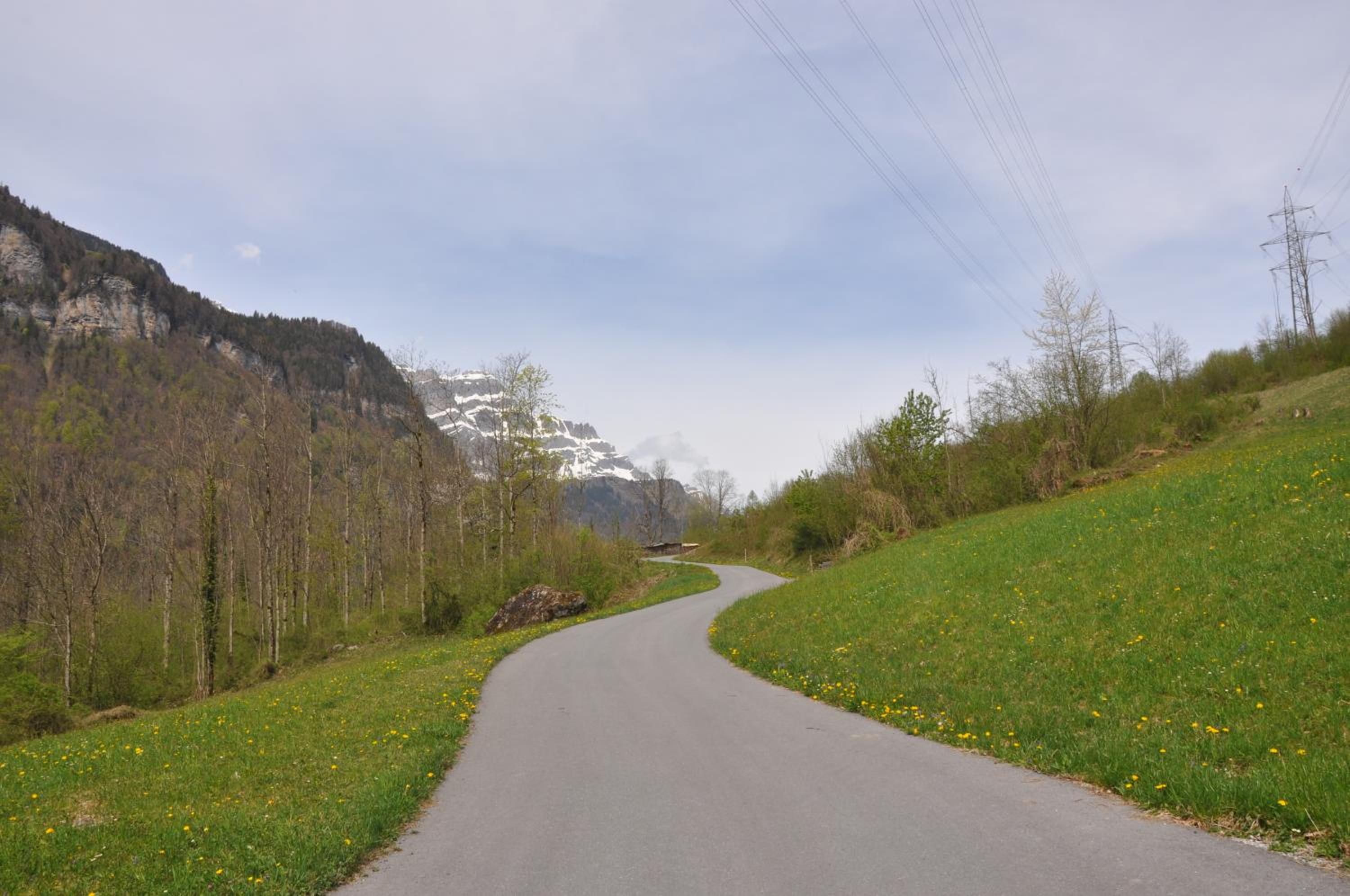Photo 46