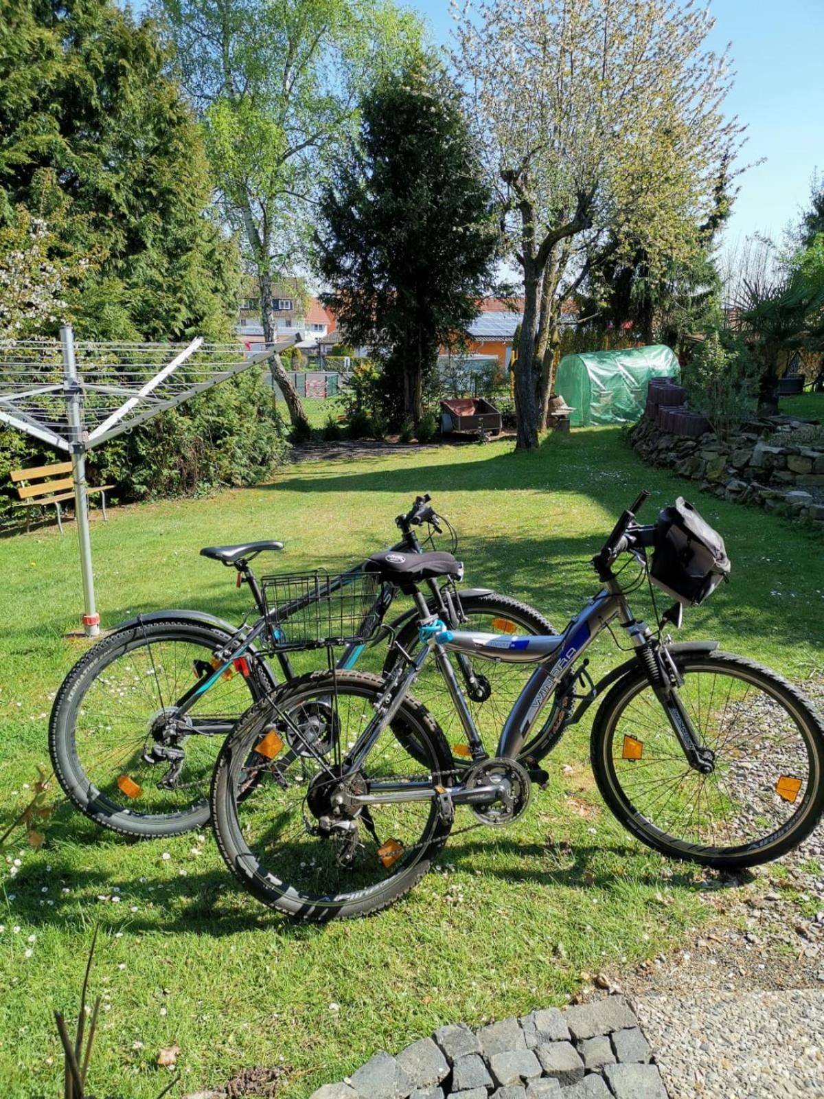 Photo 41