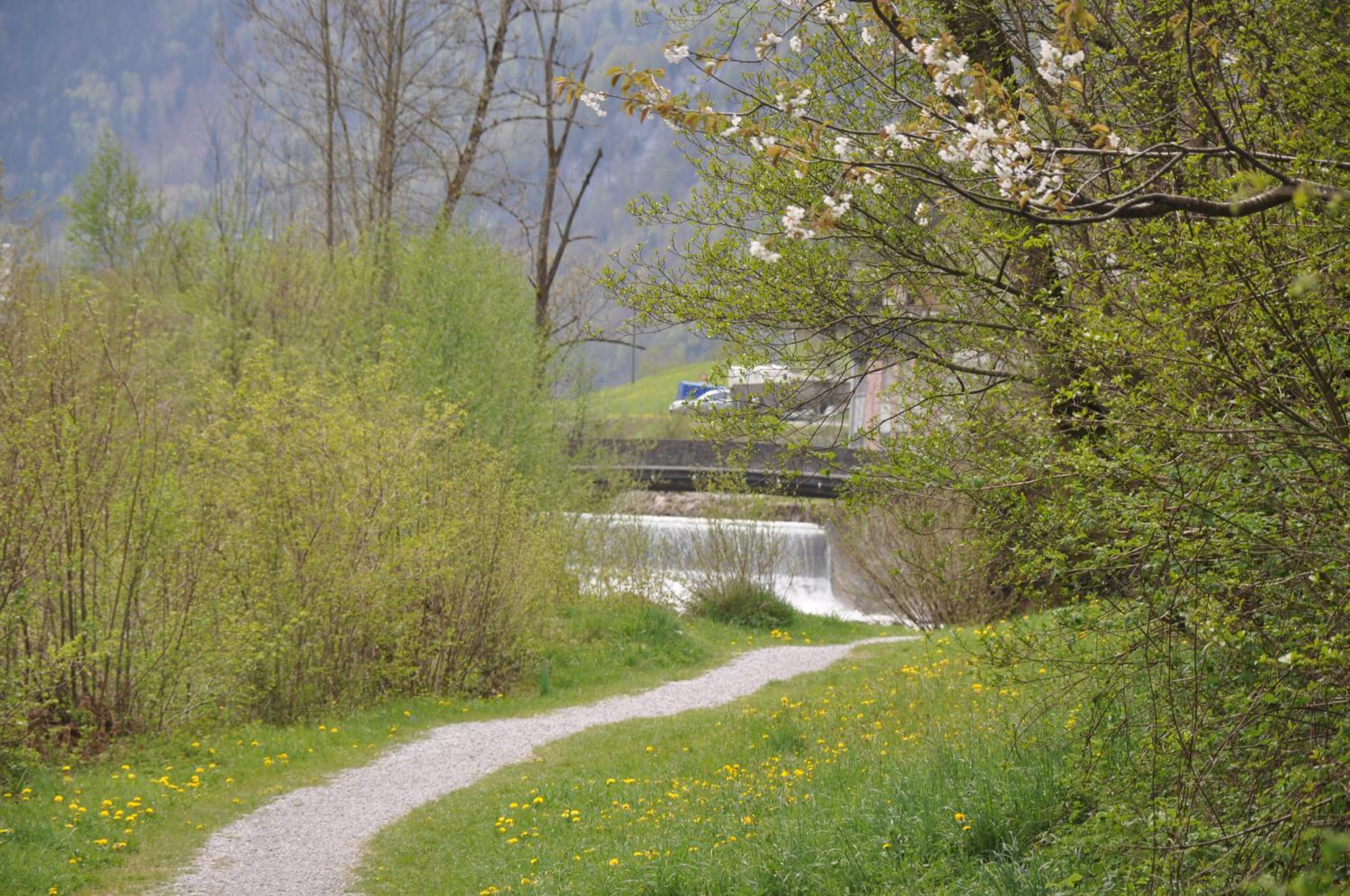 Photo 42
