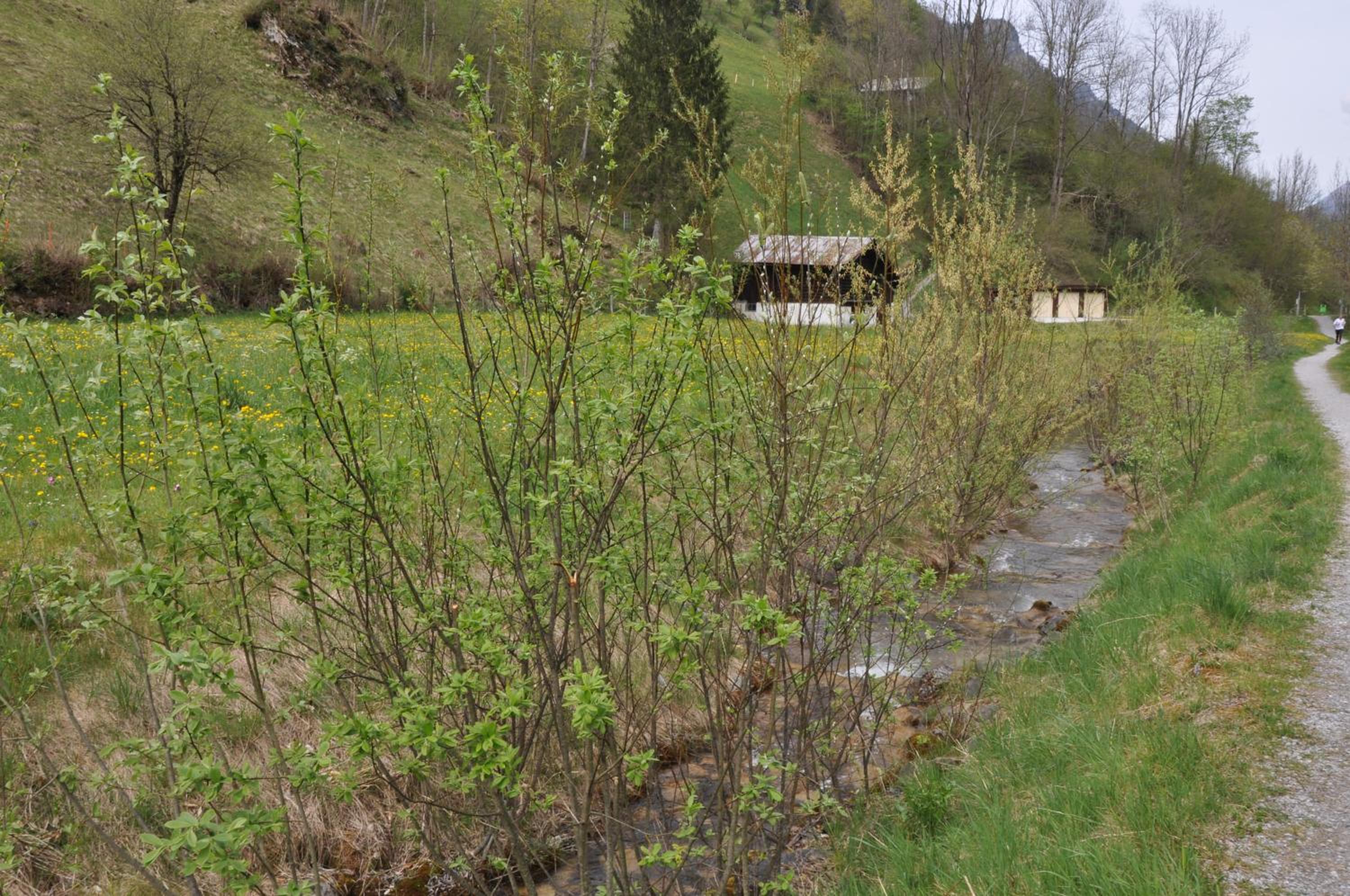 Photo 33