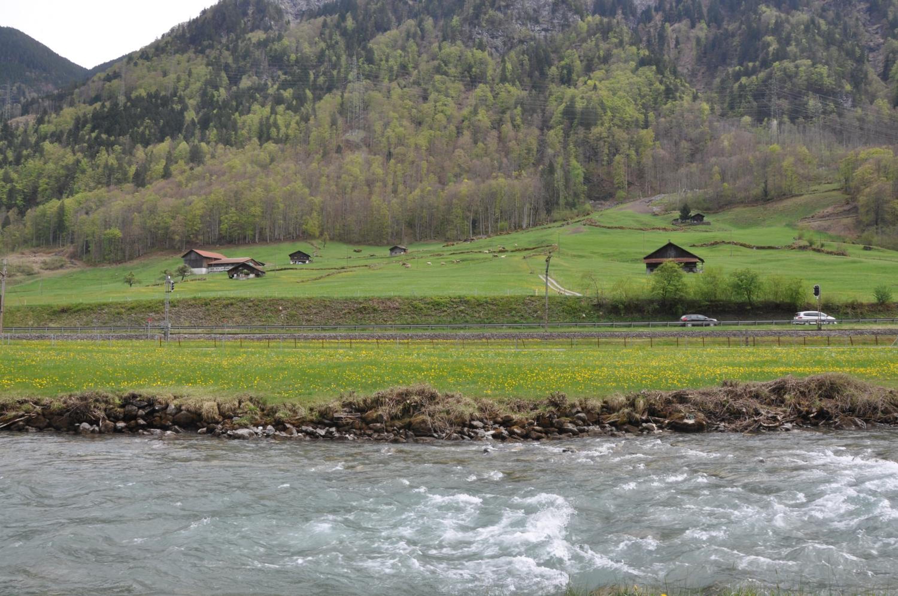 Photo 43