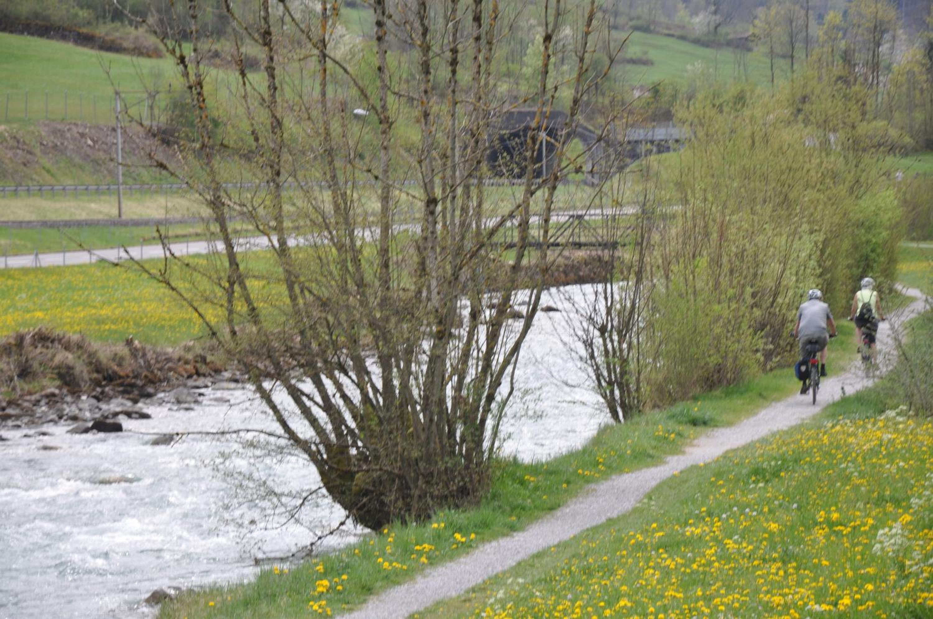 Photo 44