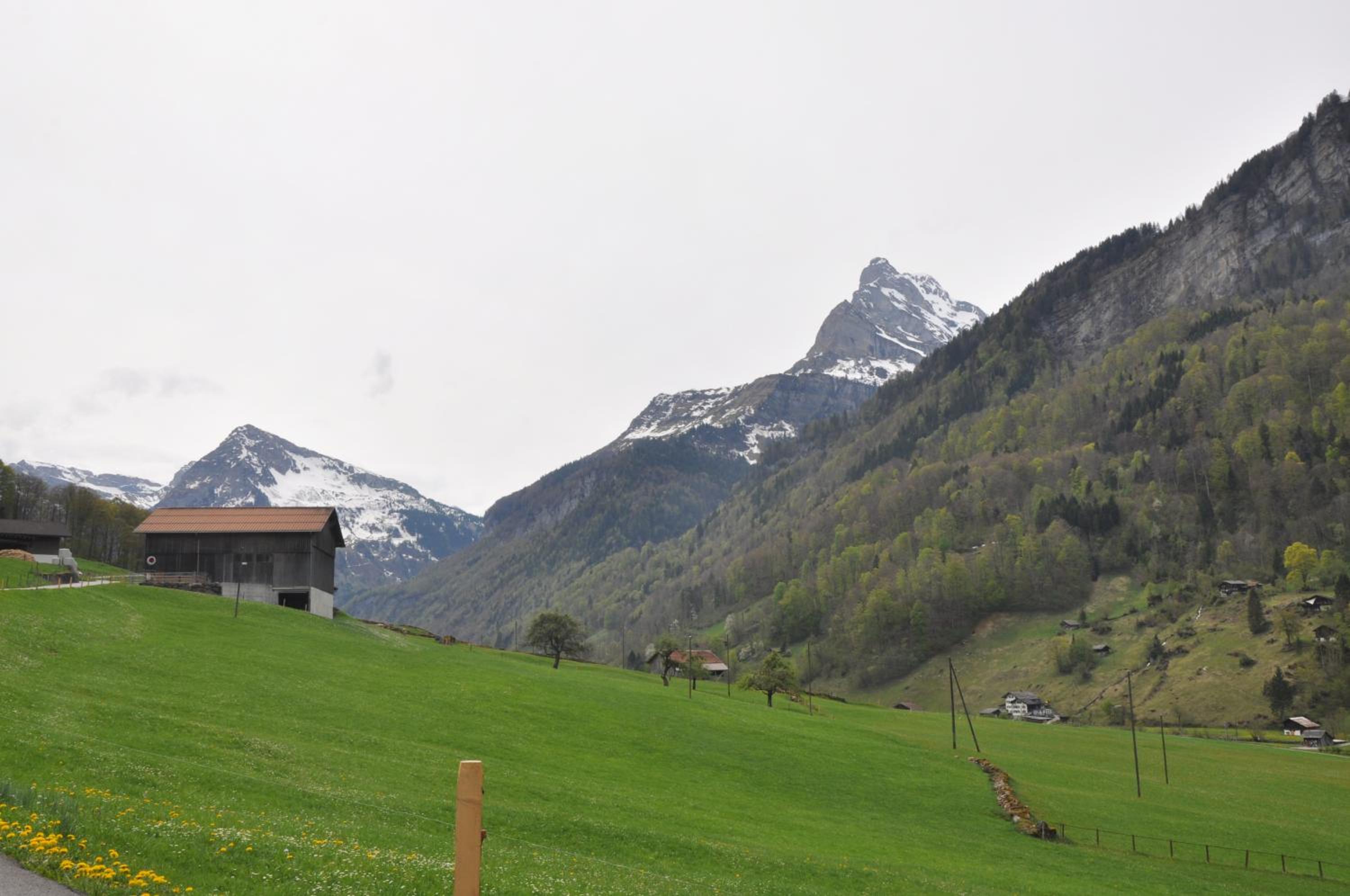 Photo 40