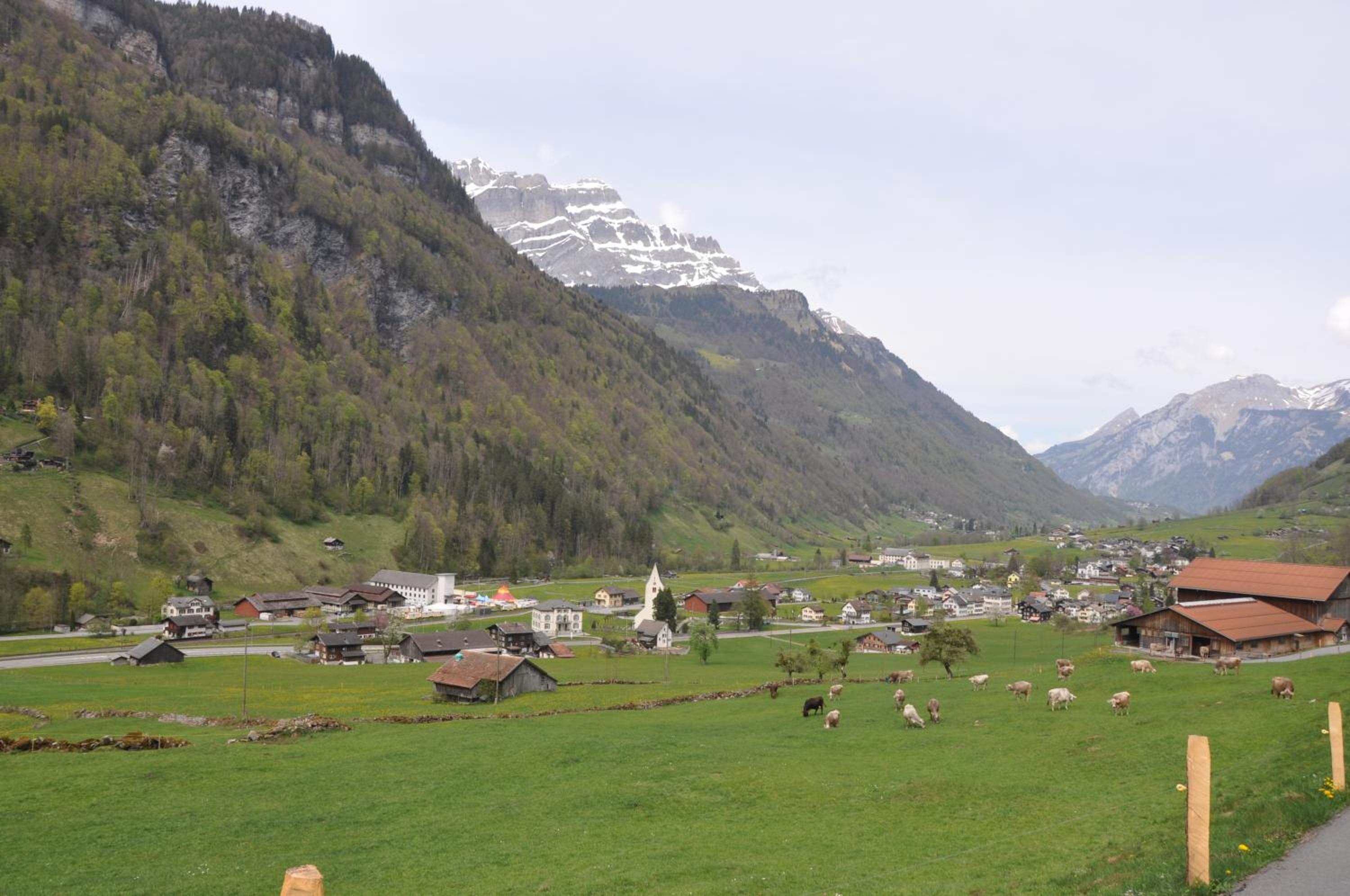 Photo 27