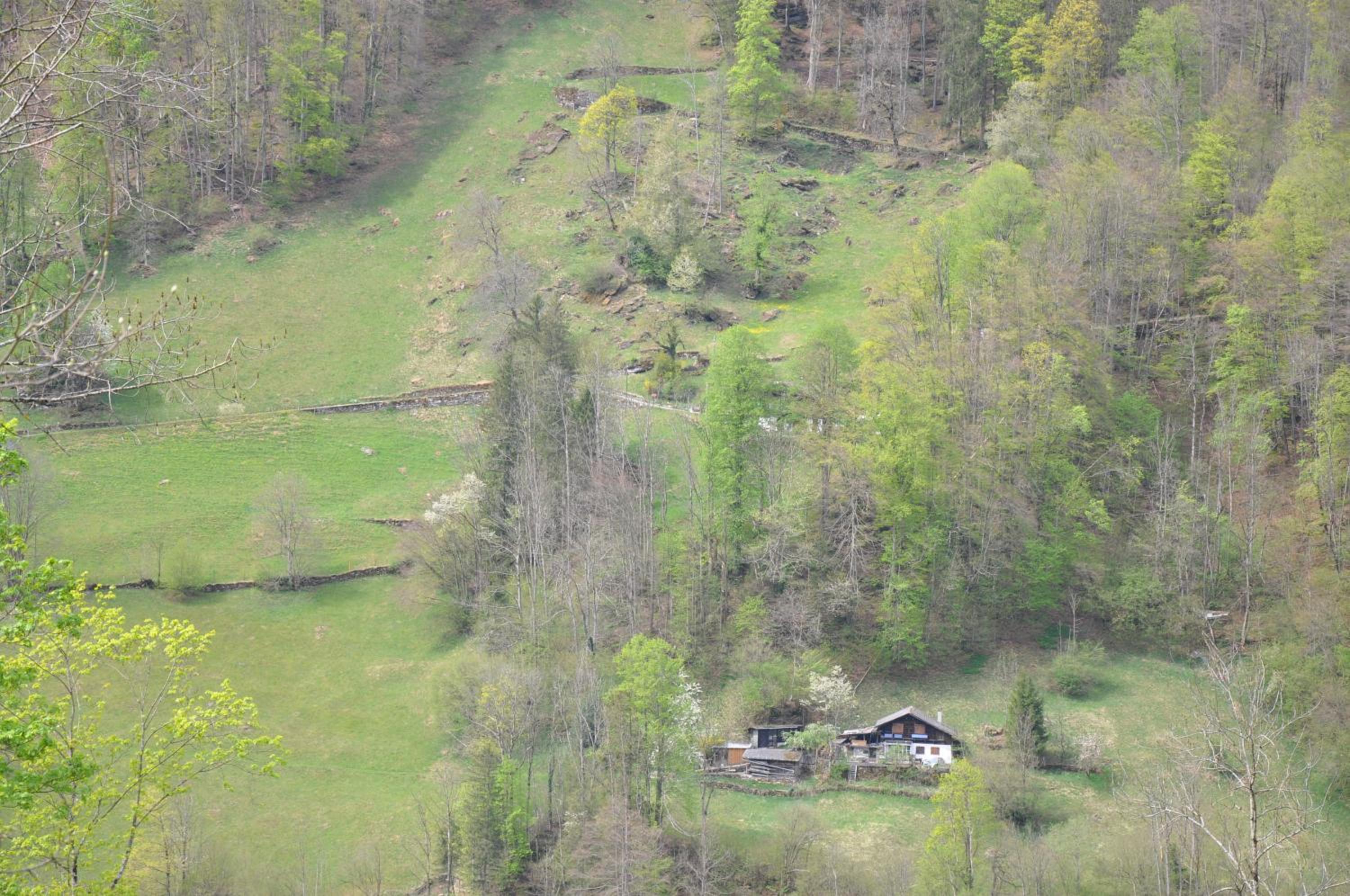Photo 32