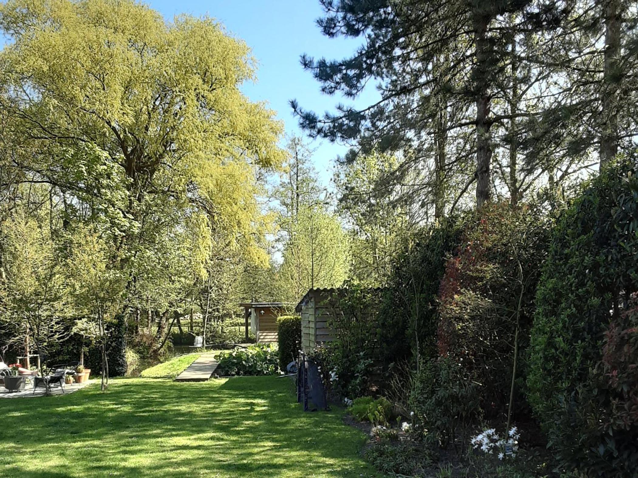 Photo 14