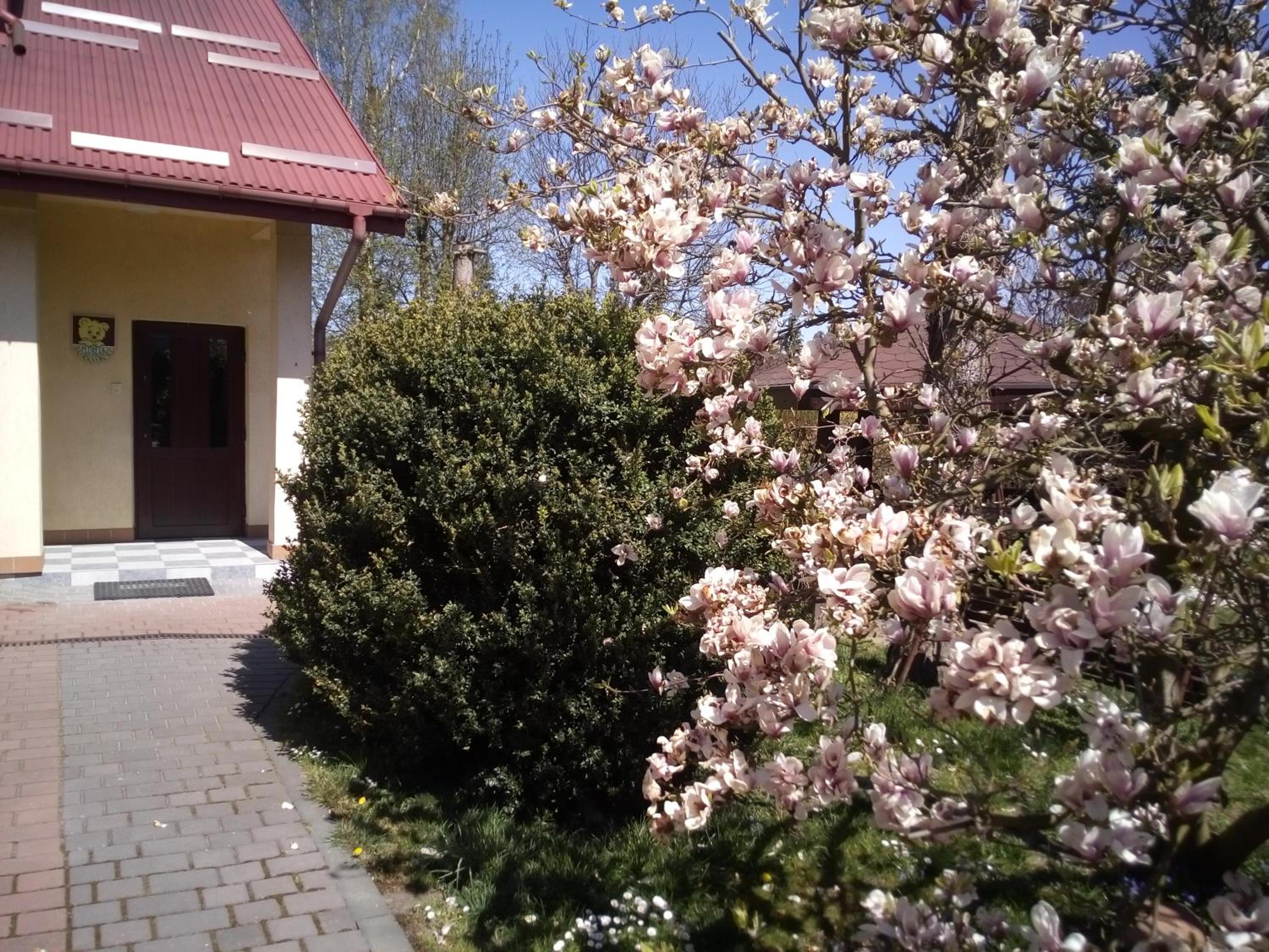 Photo 33