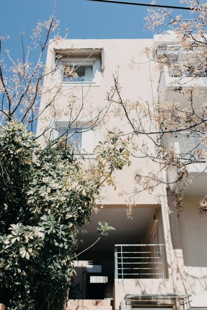 Best House, Nirvana II, Patra