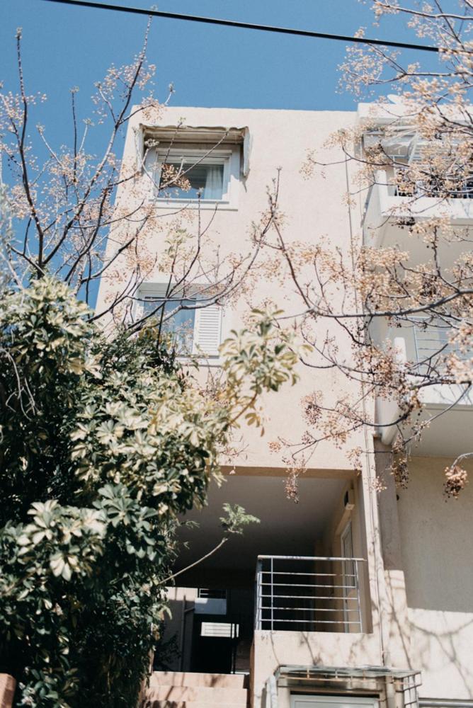 Best House, Nirvana II, Patra
