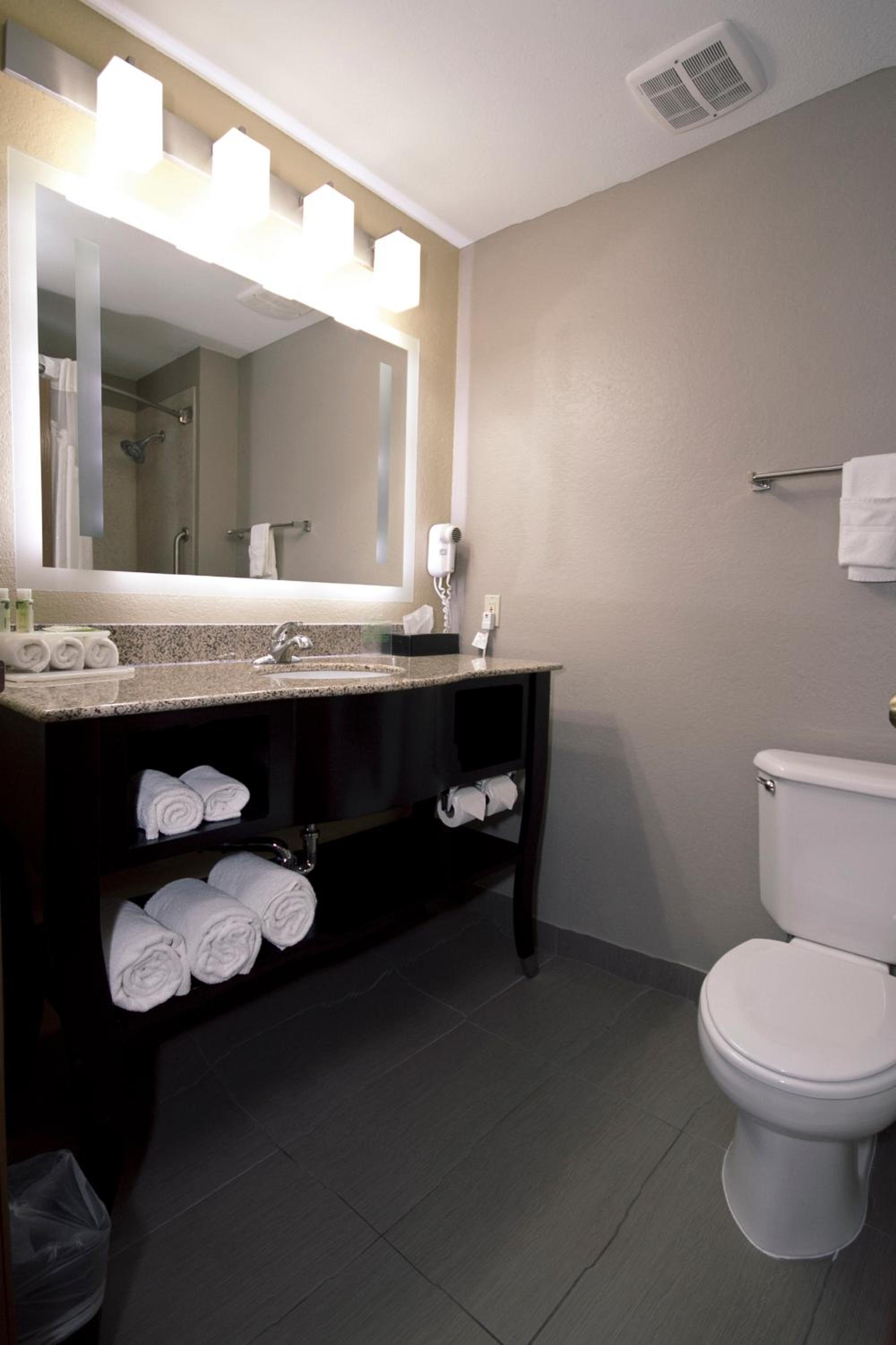 Holiday Inn Express Adrian by IHG, Billede 21