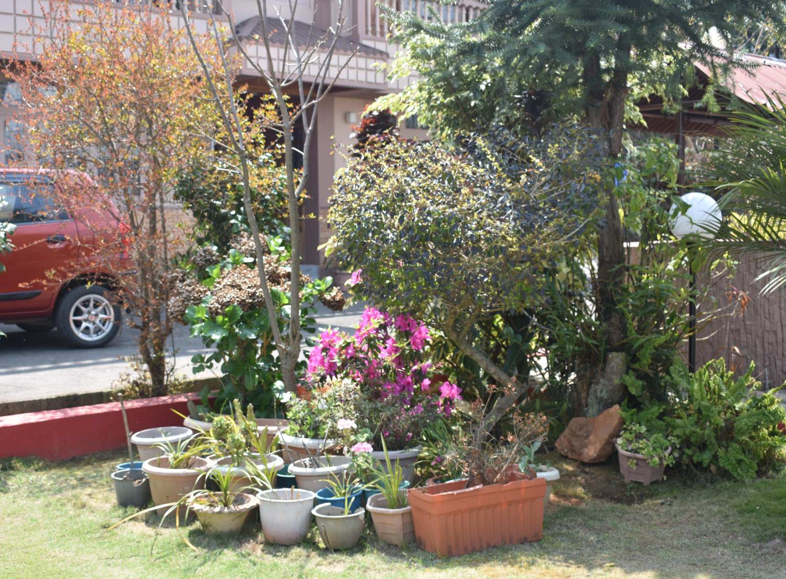 Photo 25