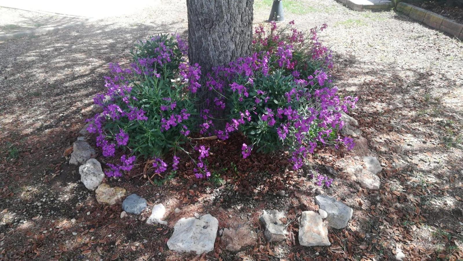 Photo 19