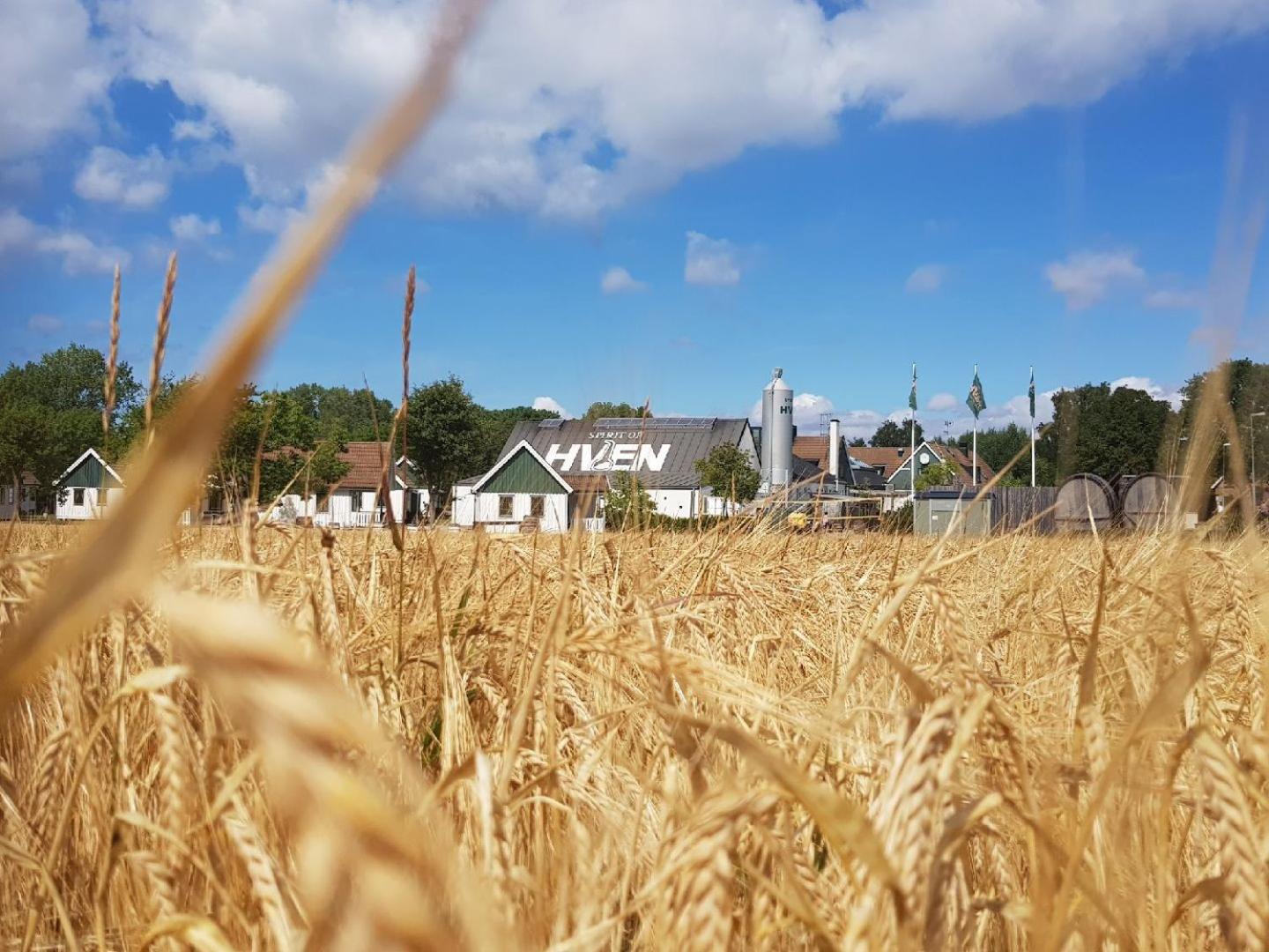 Hotel Spirit of Hven Backafallsbyn - Image 1