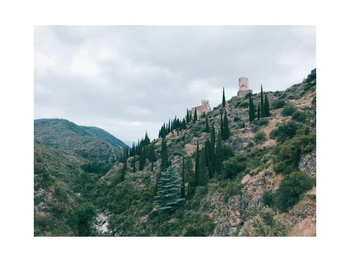Photo 18
