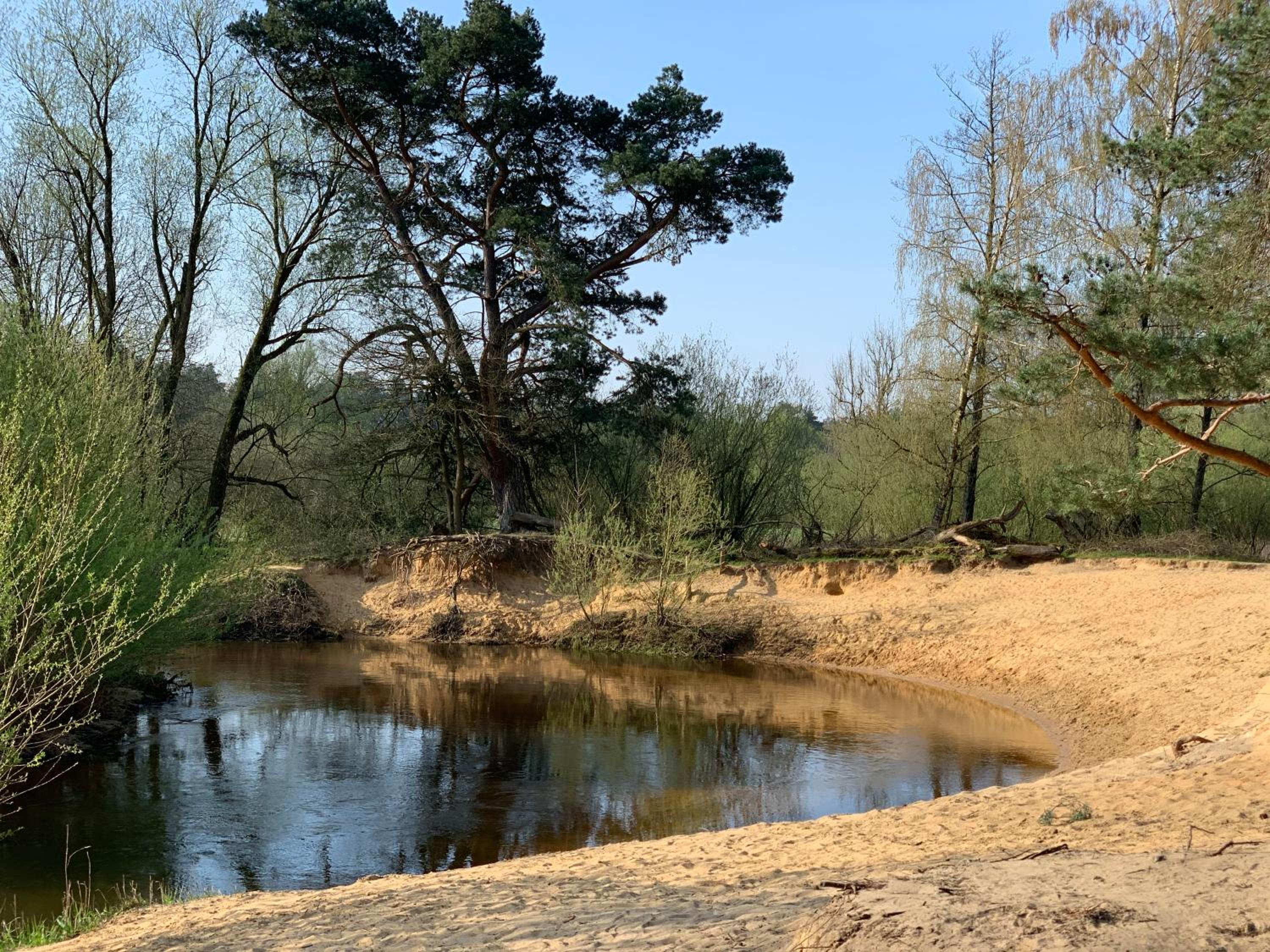 vakantiewoning De Lutte